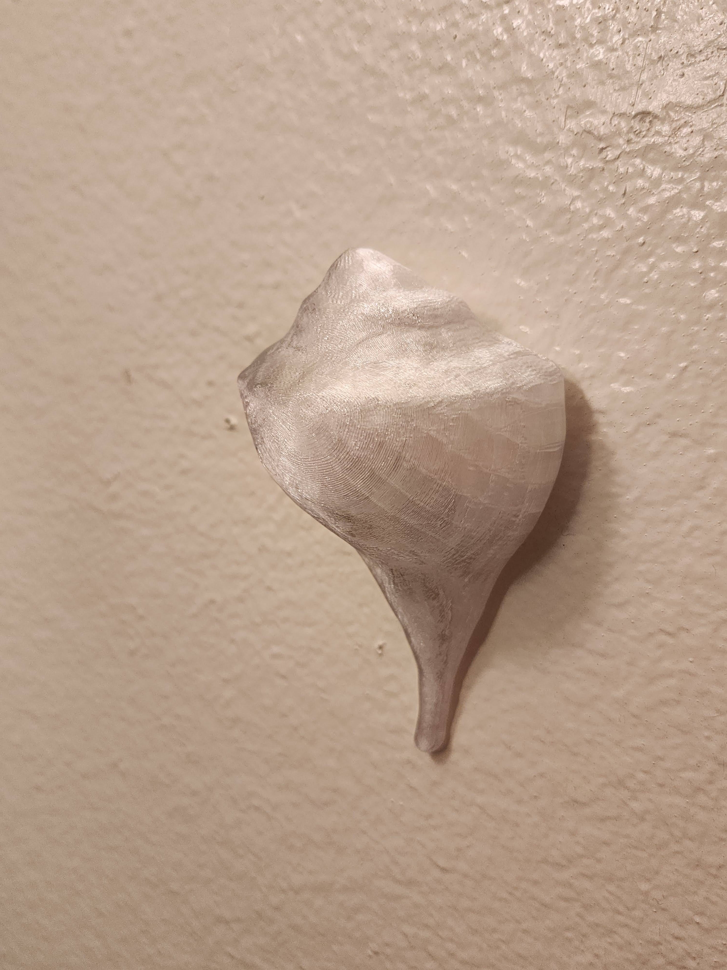 Shell Lights