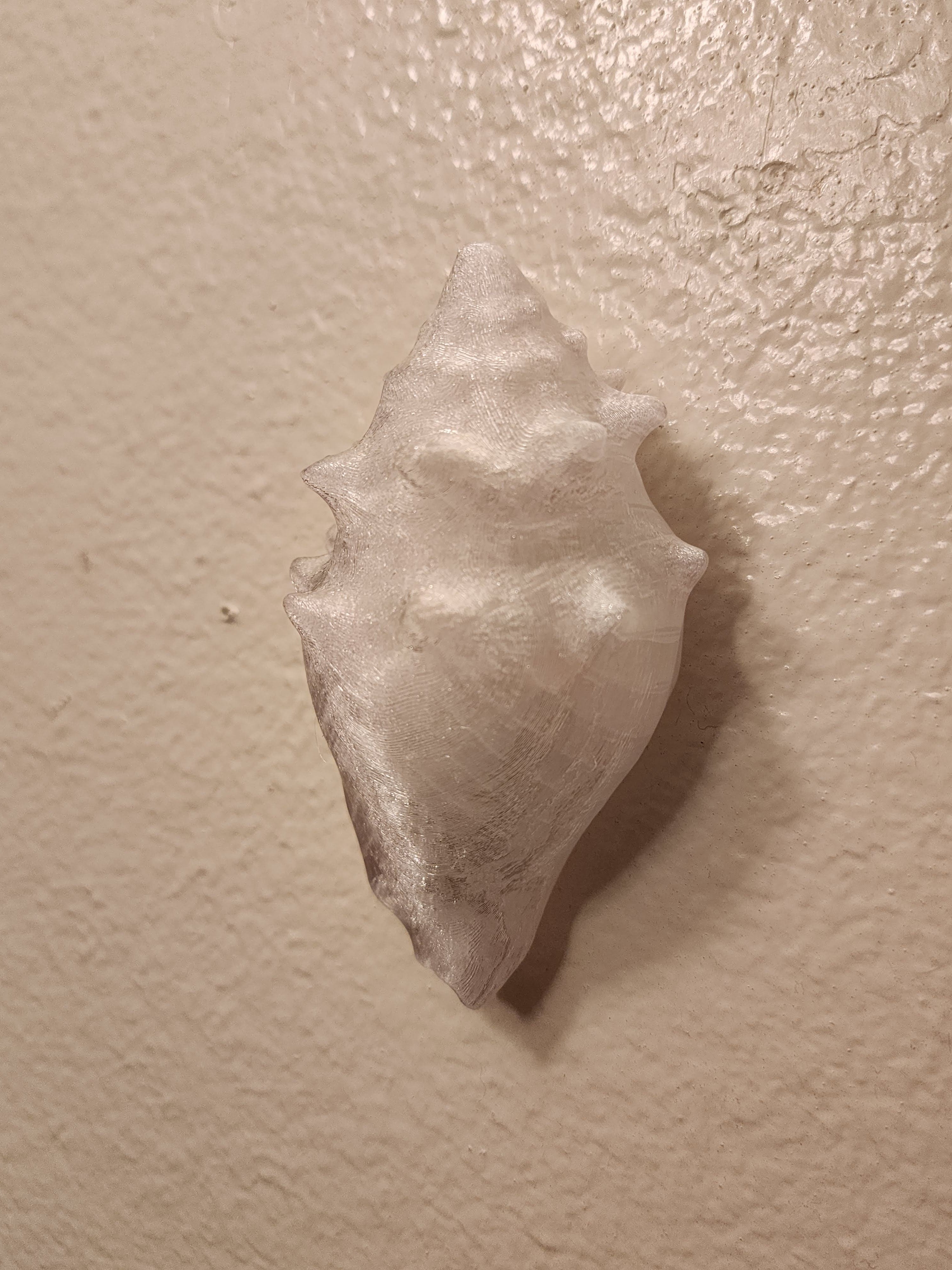 Shell Lights