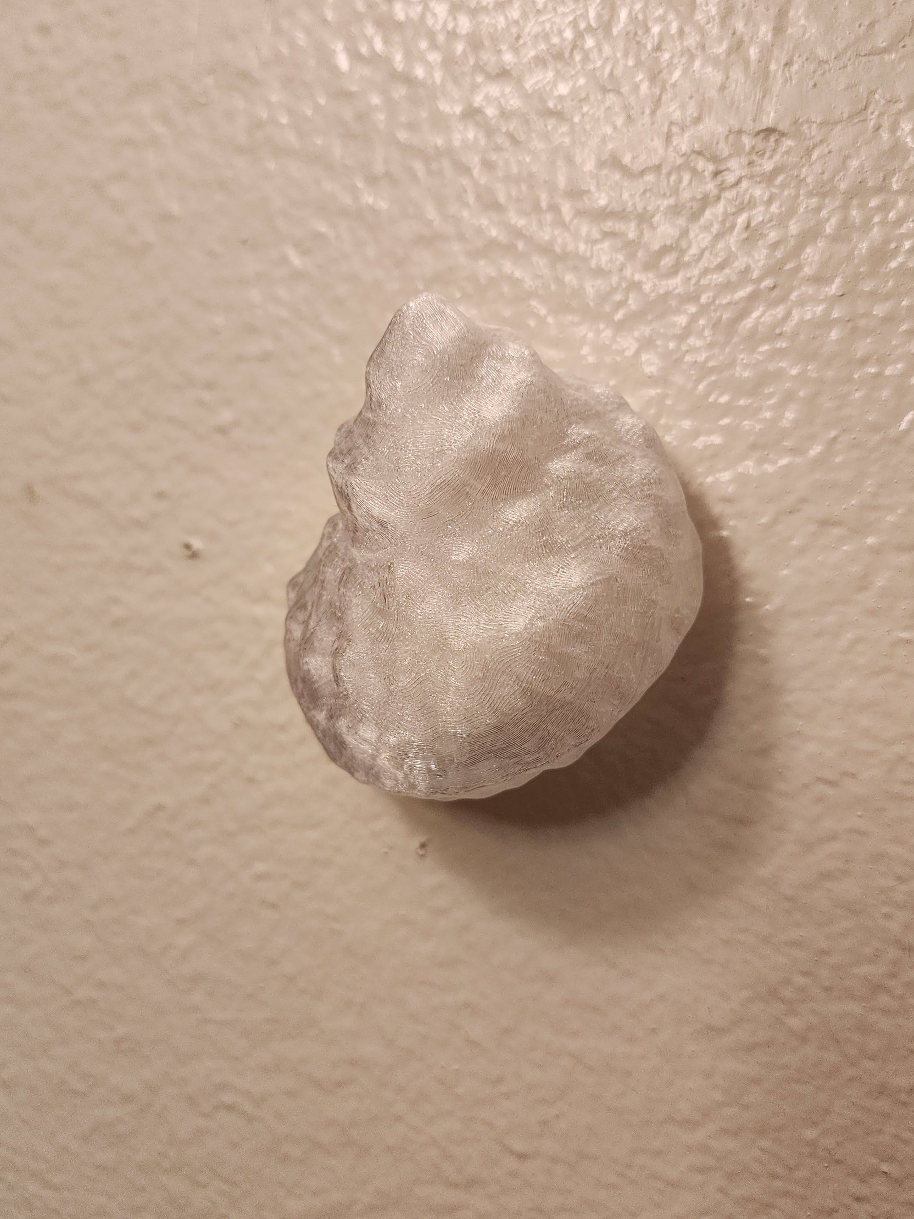 Shell Lights