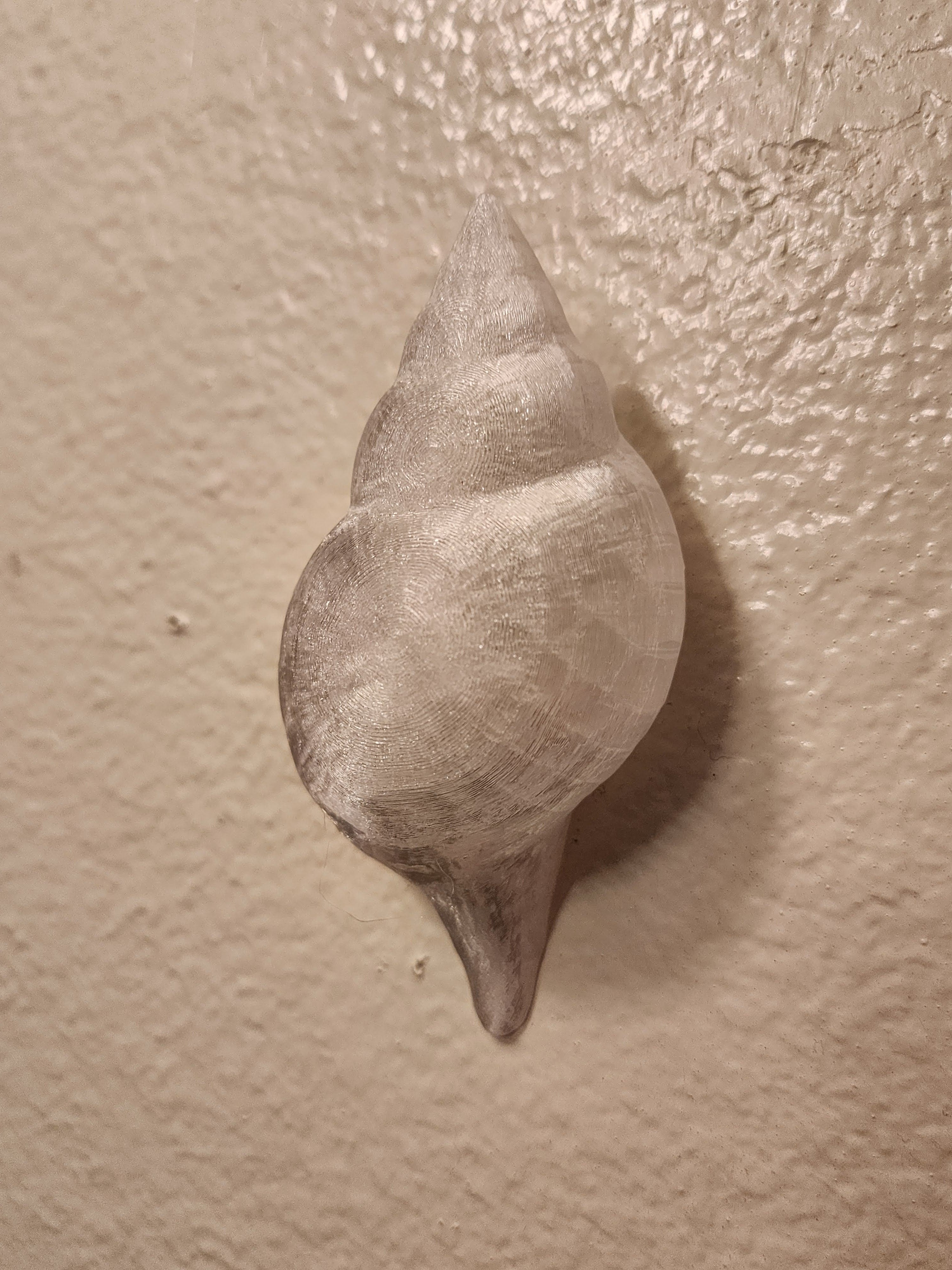 Shell Lights
