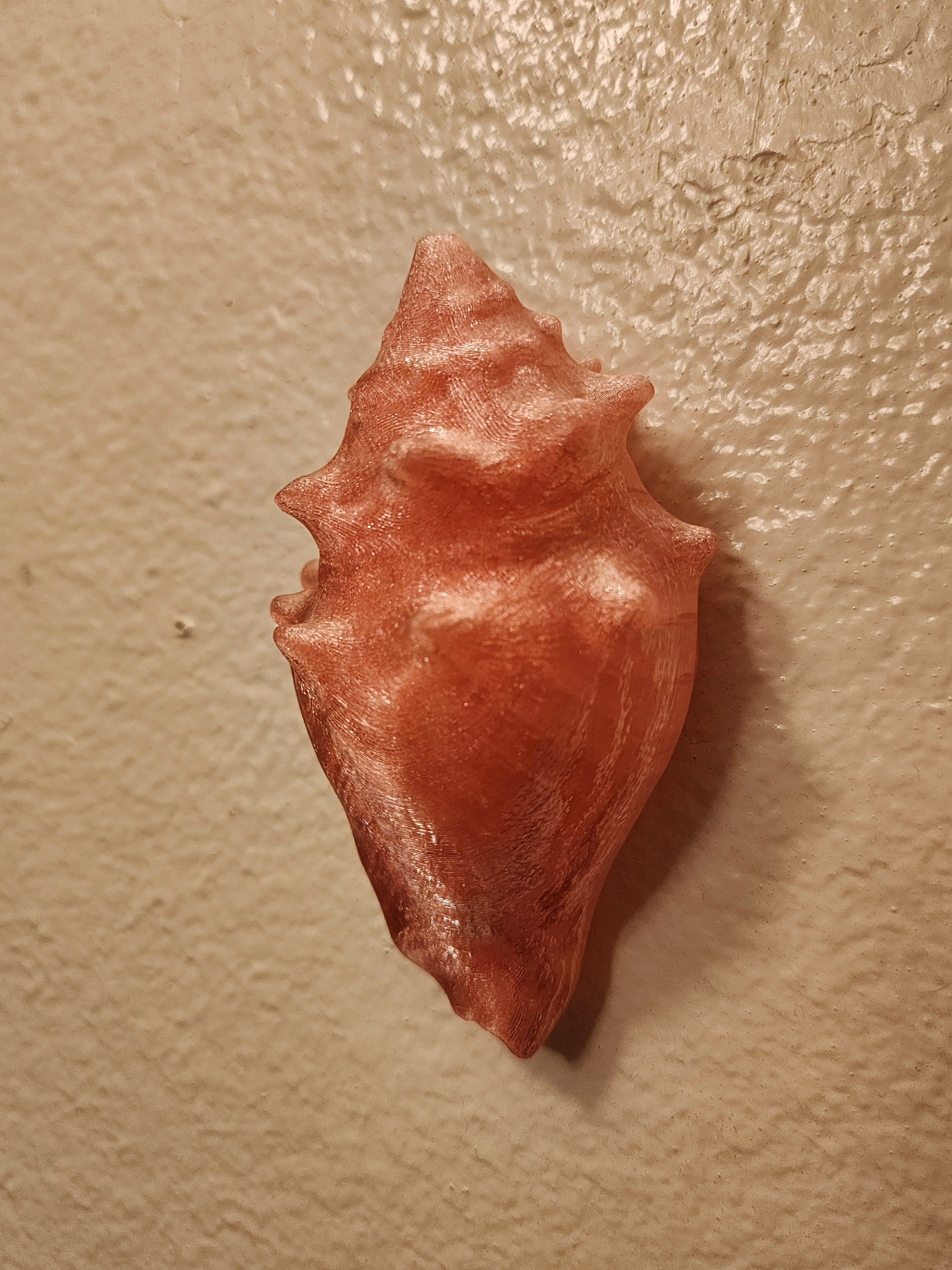 Shell Lights