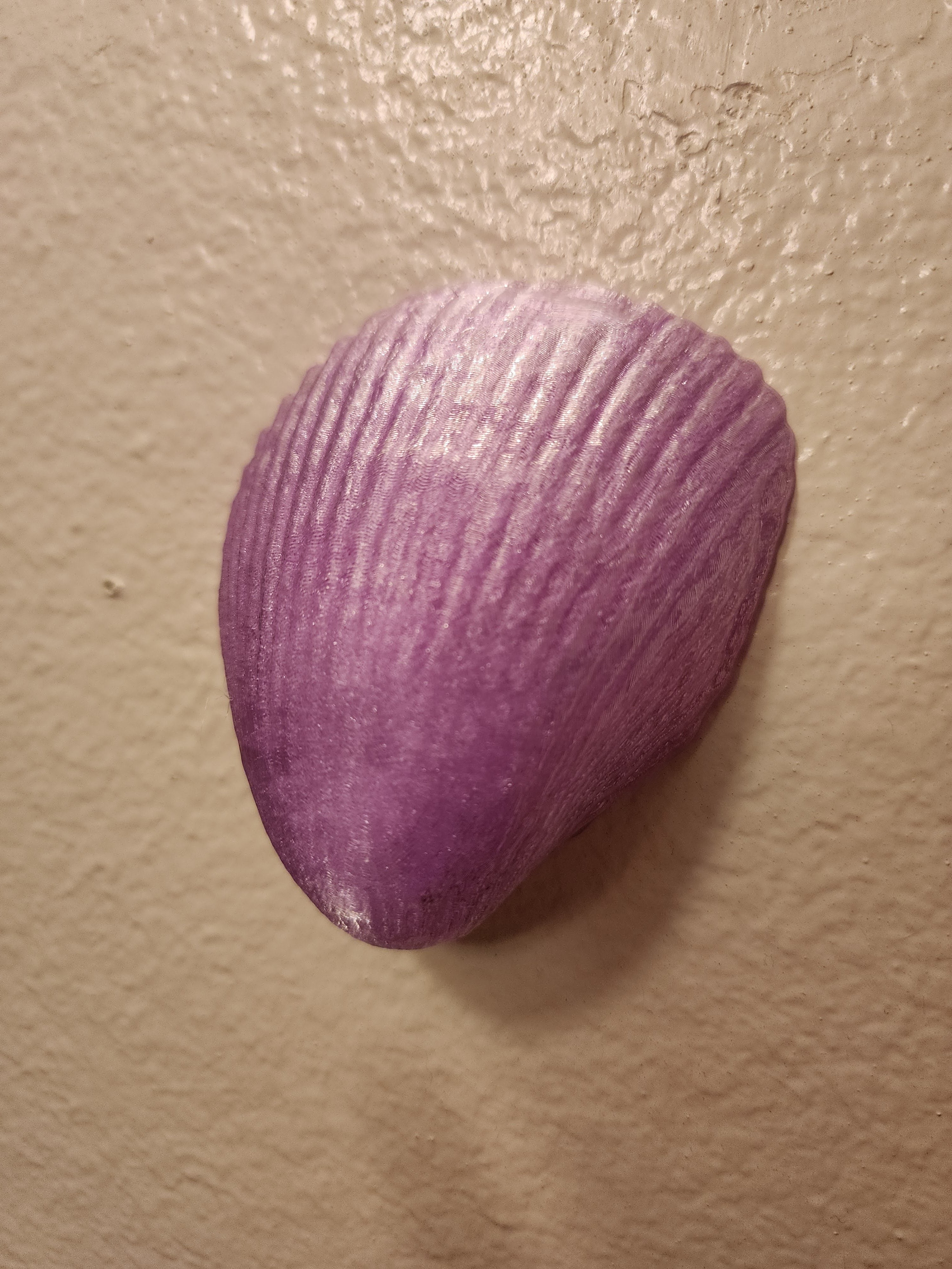 Shell Lights