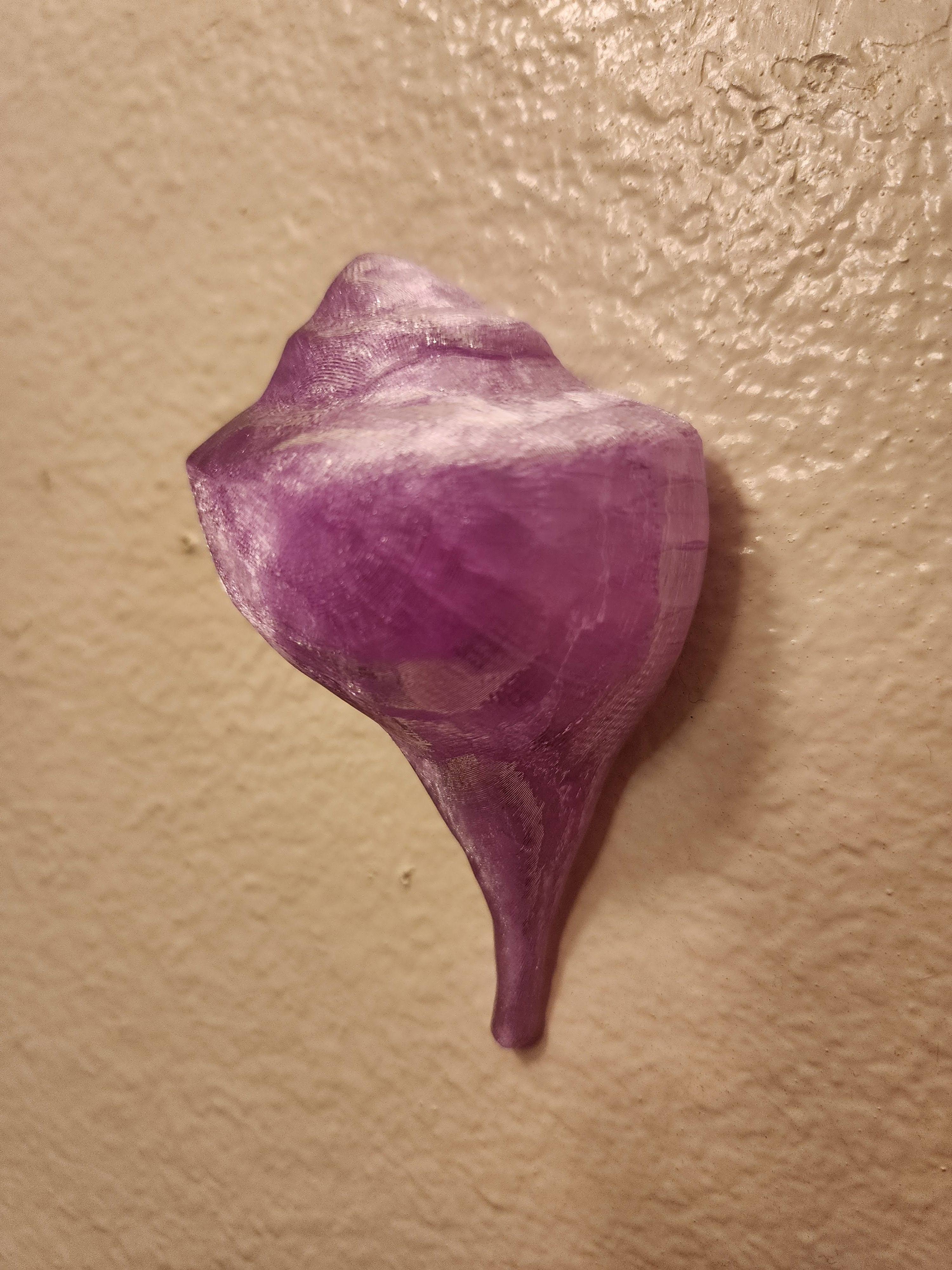 Shell Lights