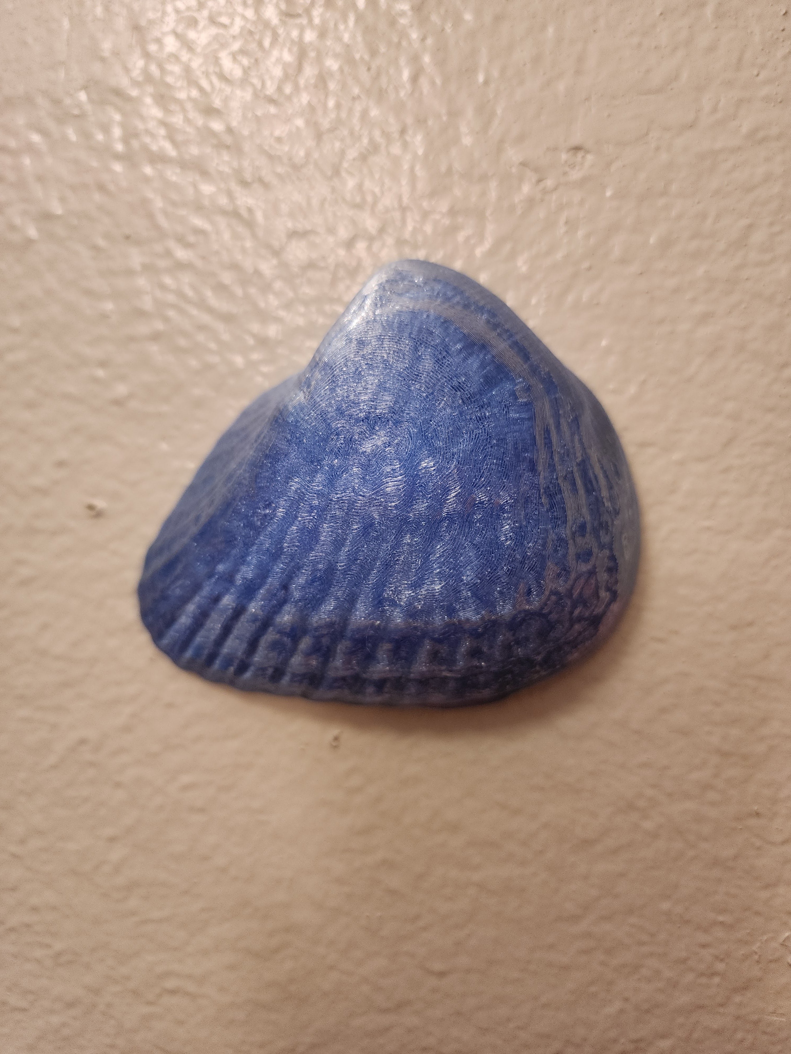 Shell Lights