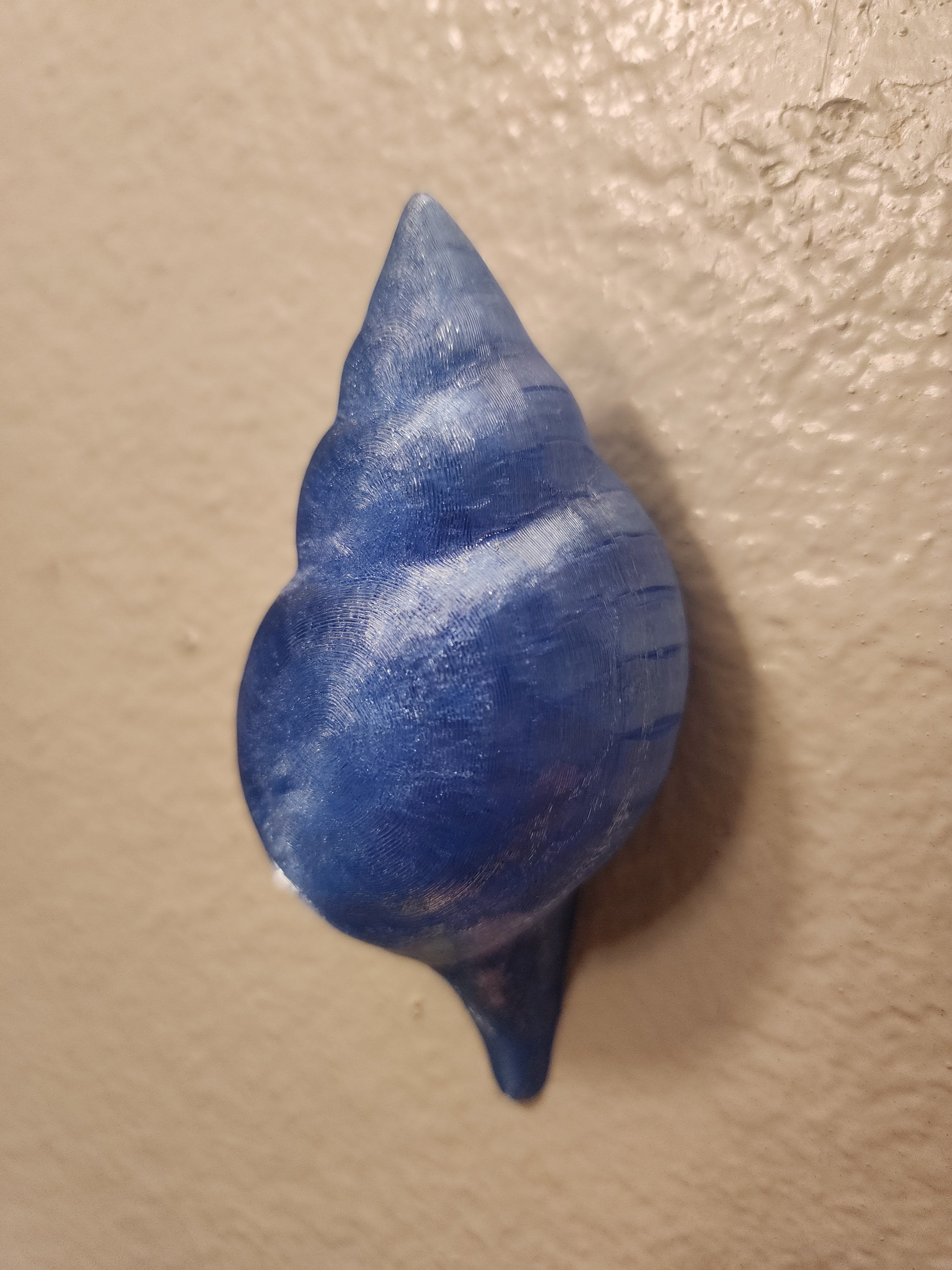 Shell Lights