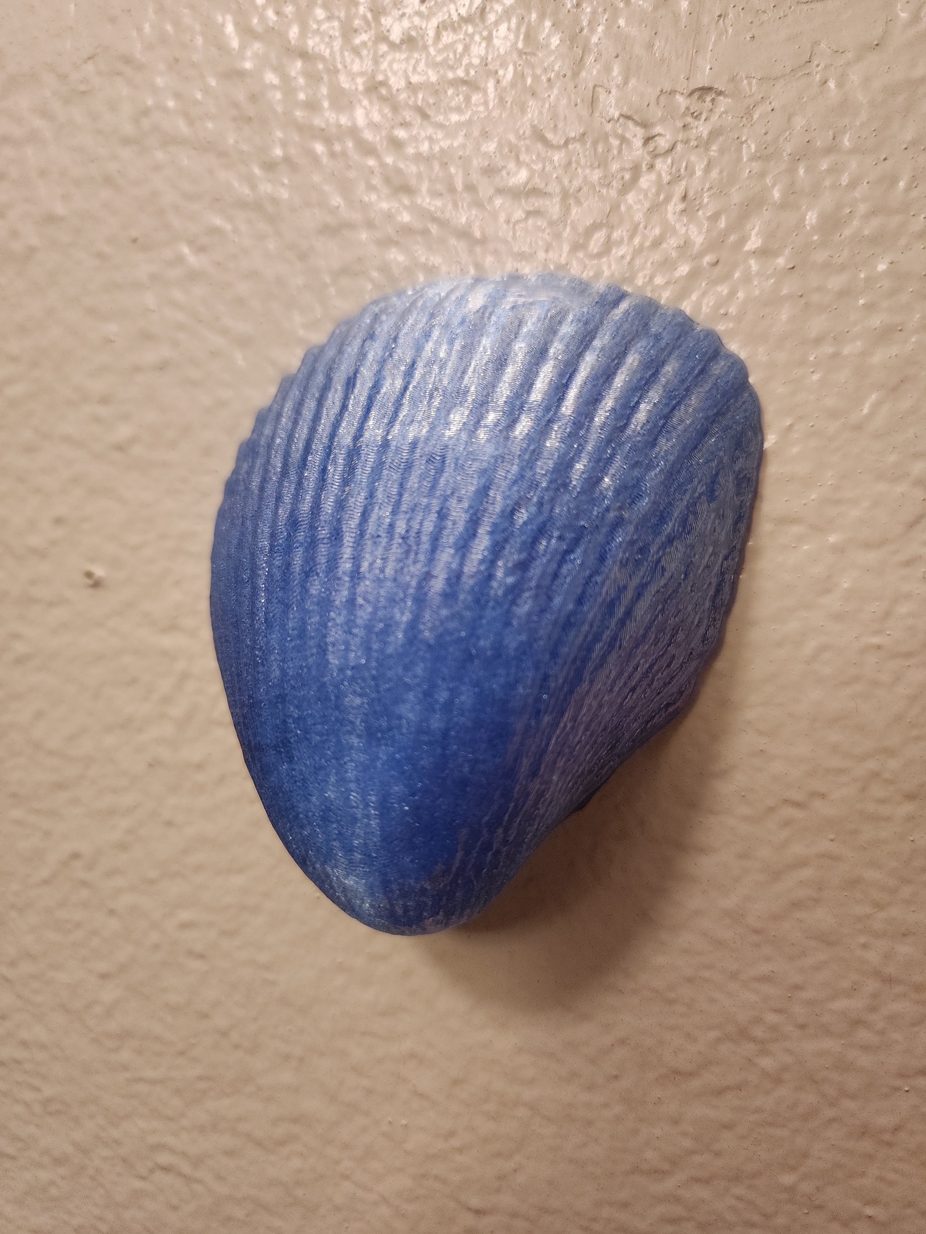 Shell Lights