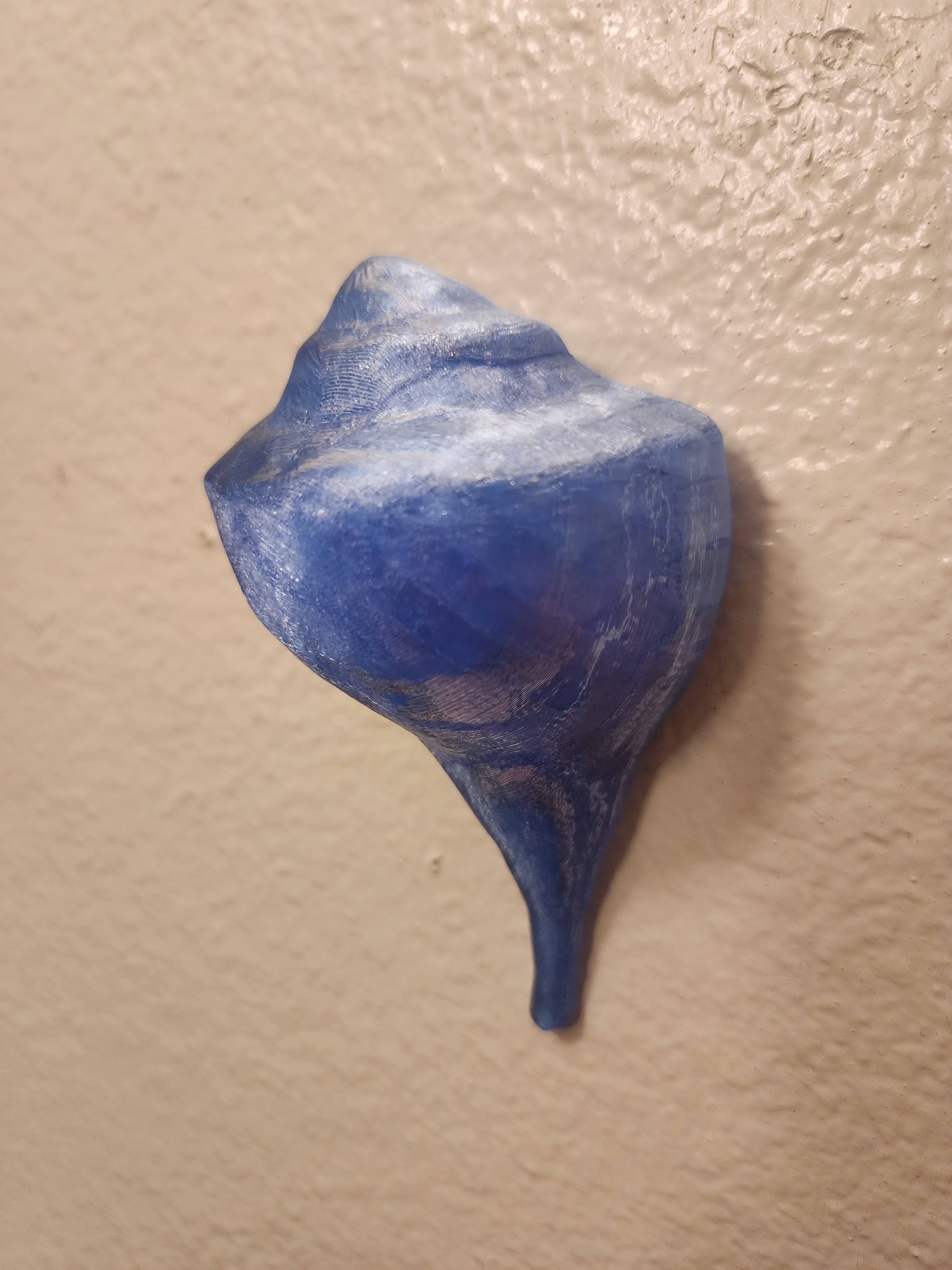 Shell Lights