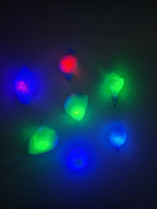 Shell Lights