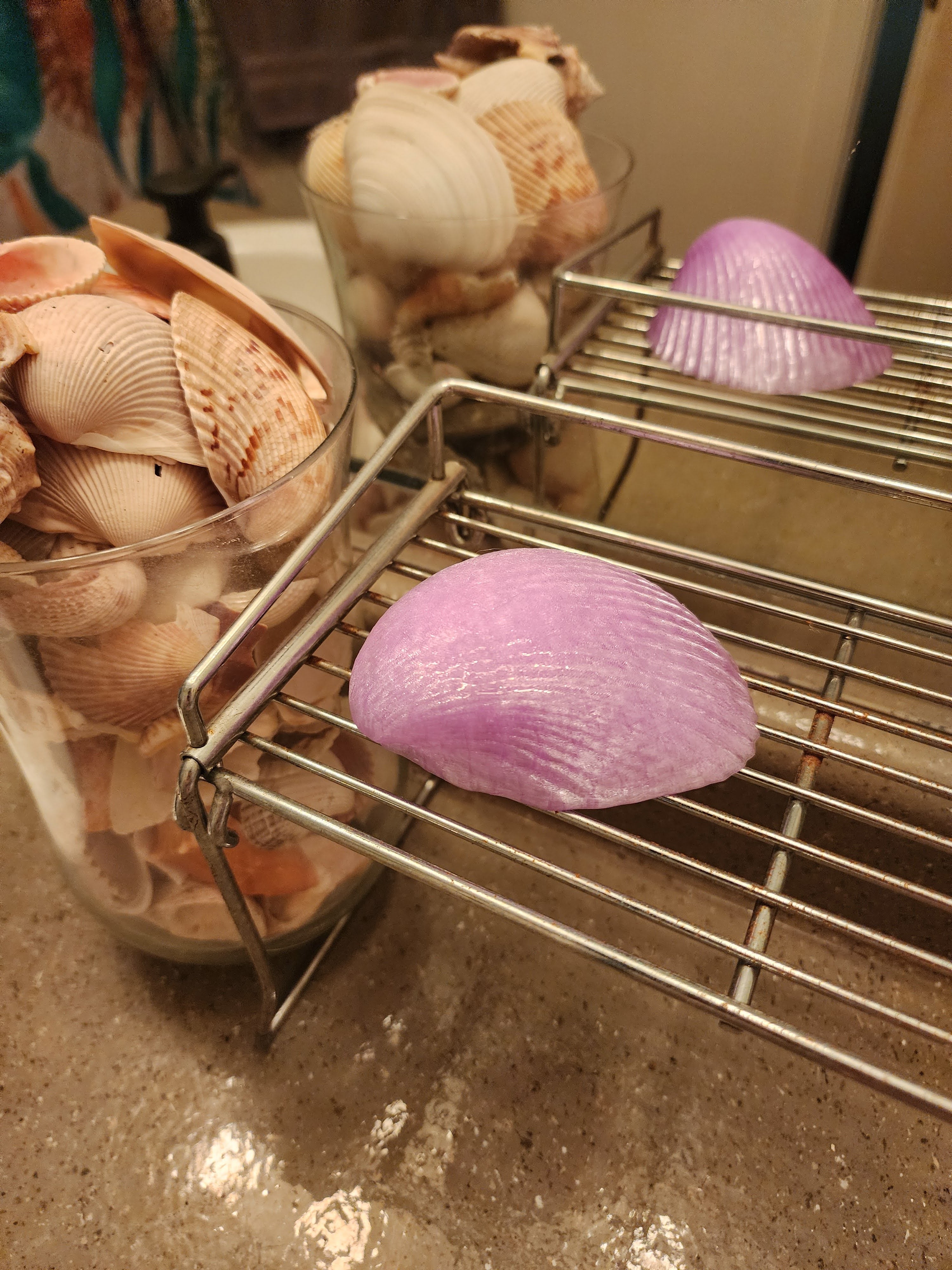Shell Lights