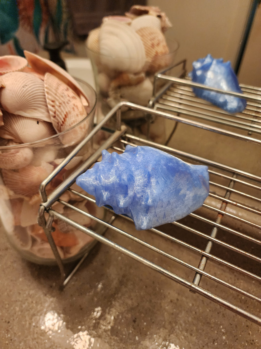 Shell Lights
