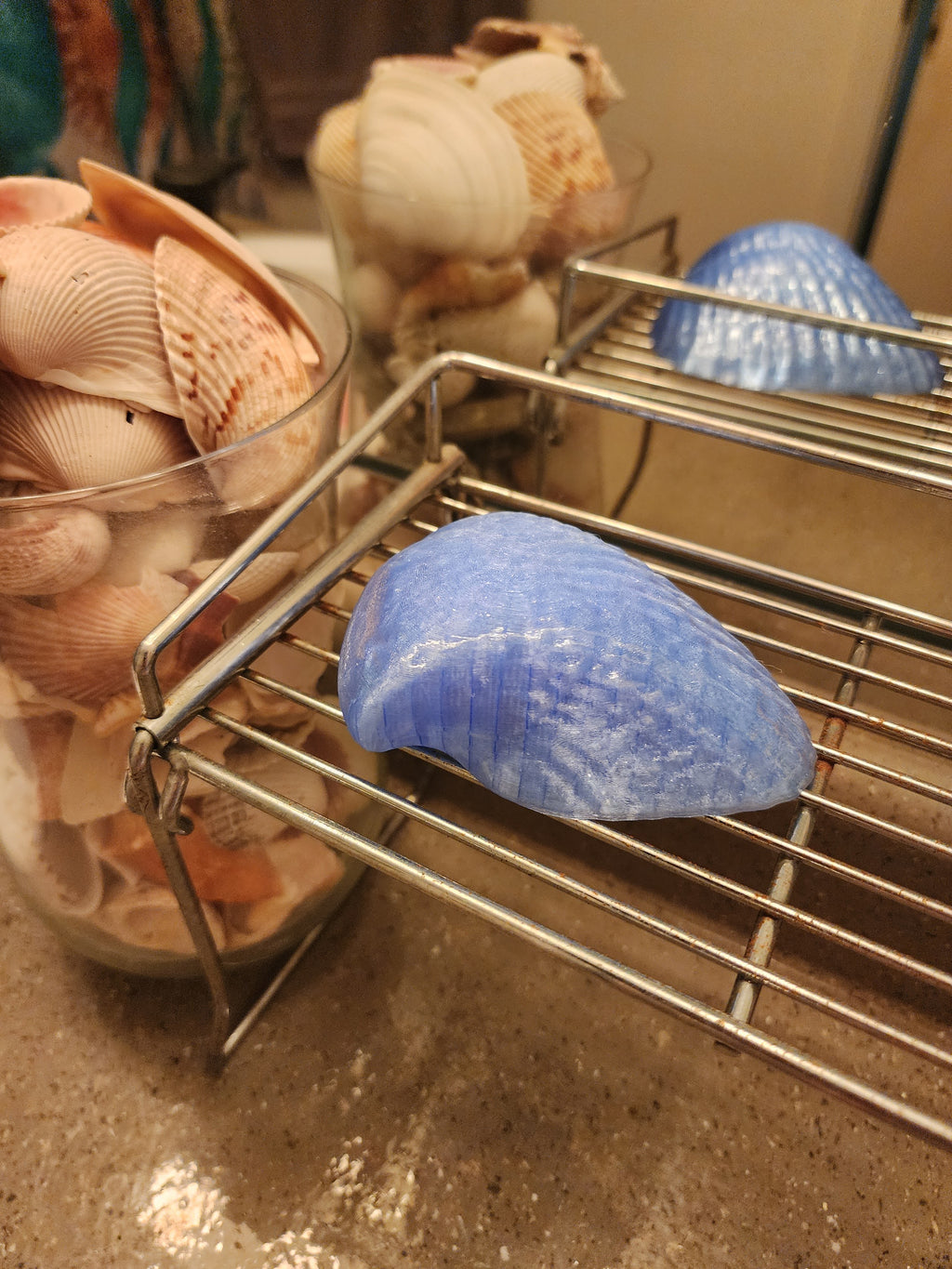 Shell Lights