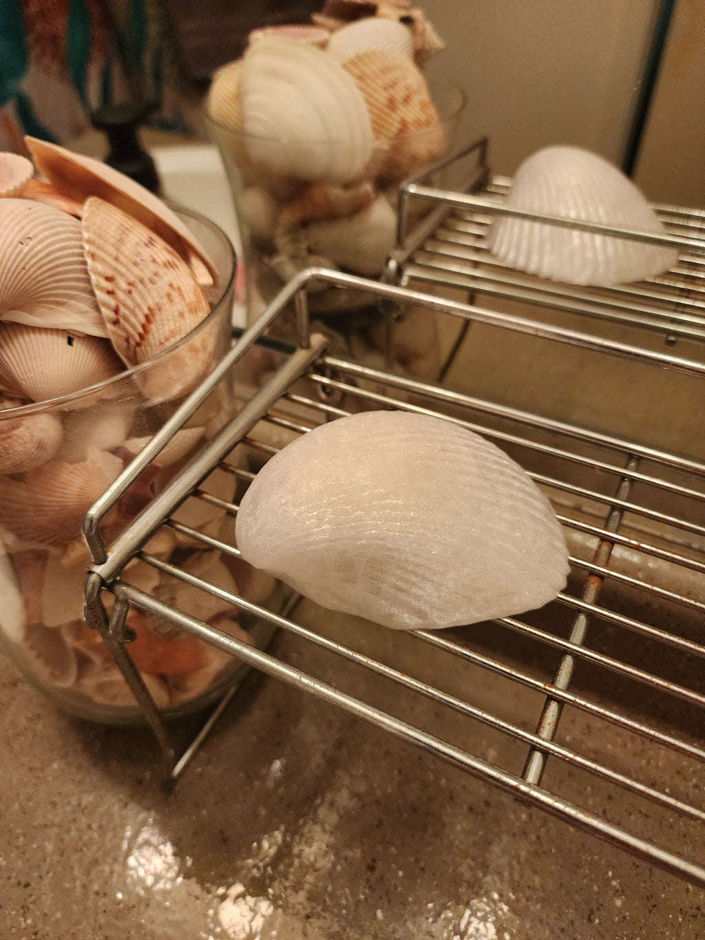 Shell Lights