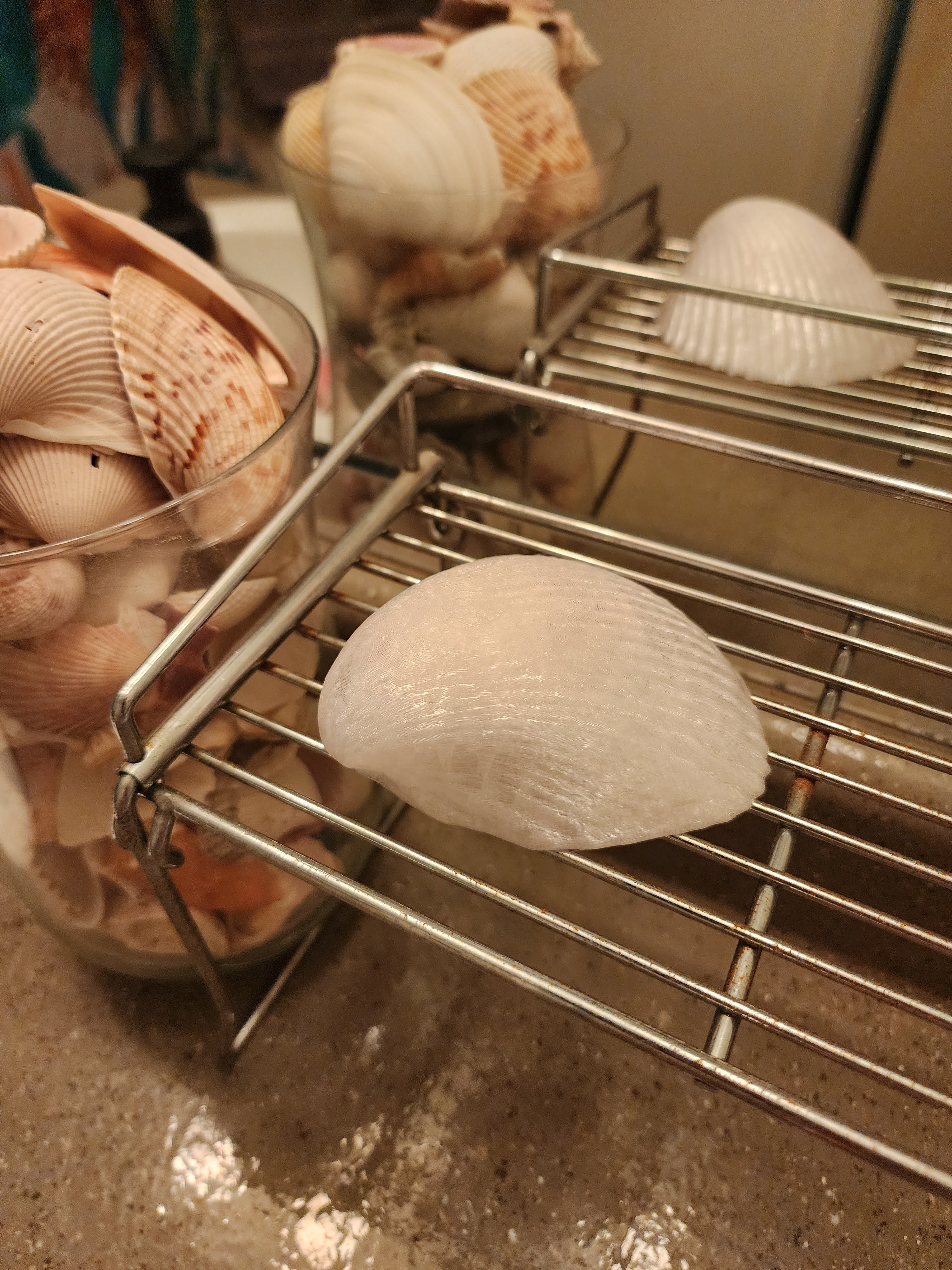 Shell Lights