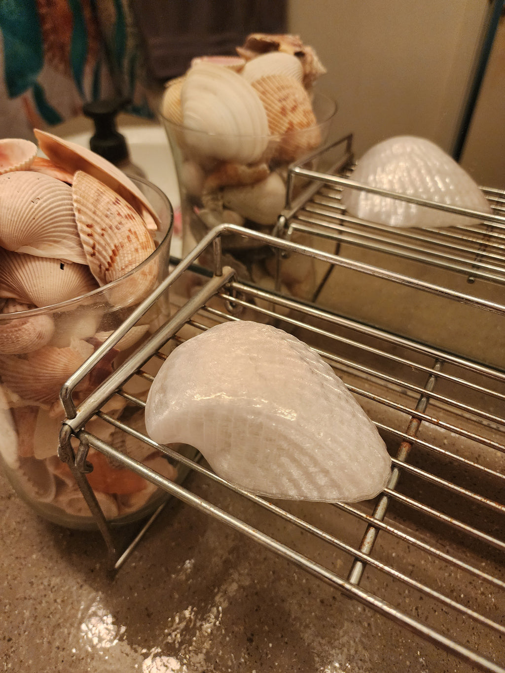 Shell Lights