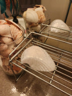 Shell Lights