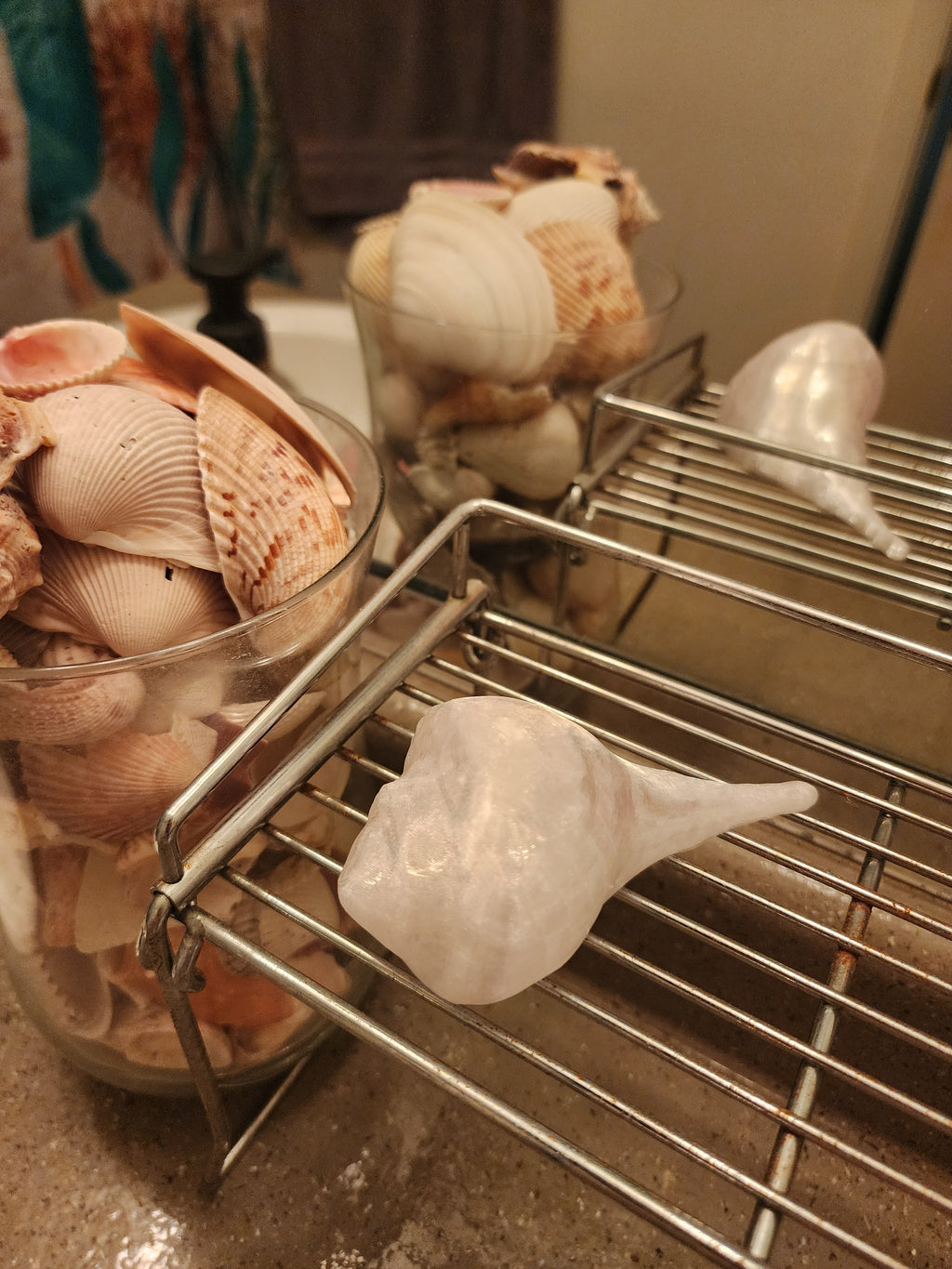 Shell Lights