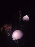 Shell Lights