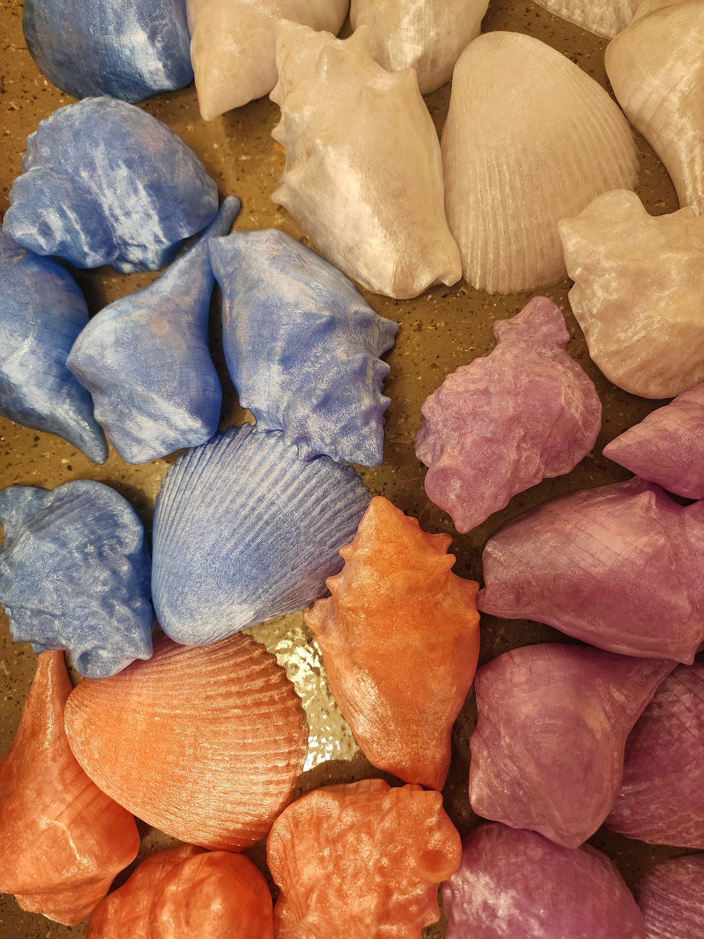 Shell Lights