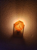 Sourdough Night Light