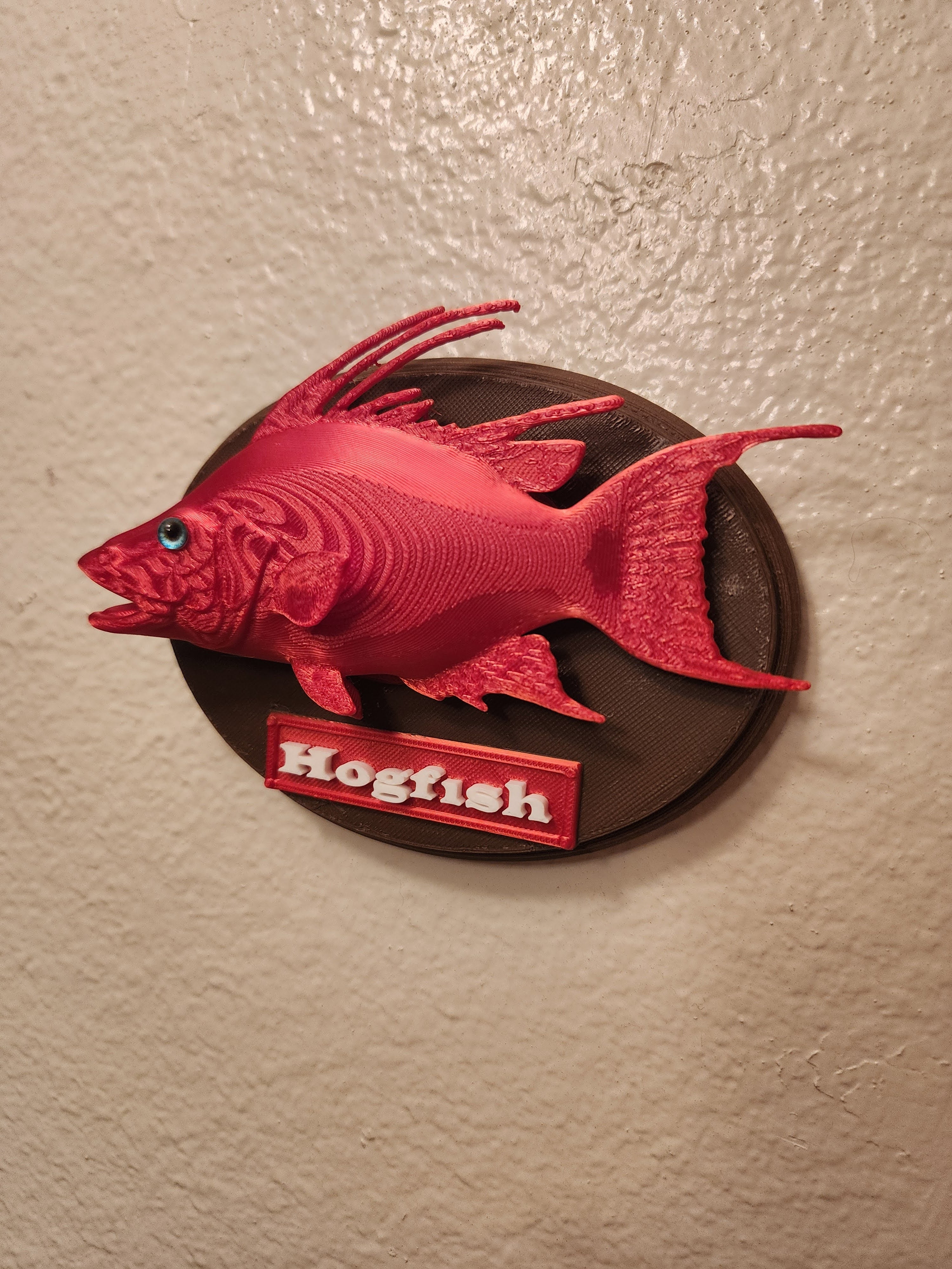 Fish Trophy