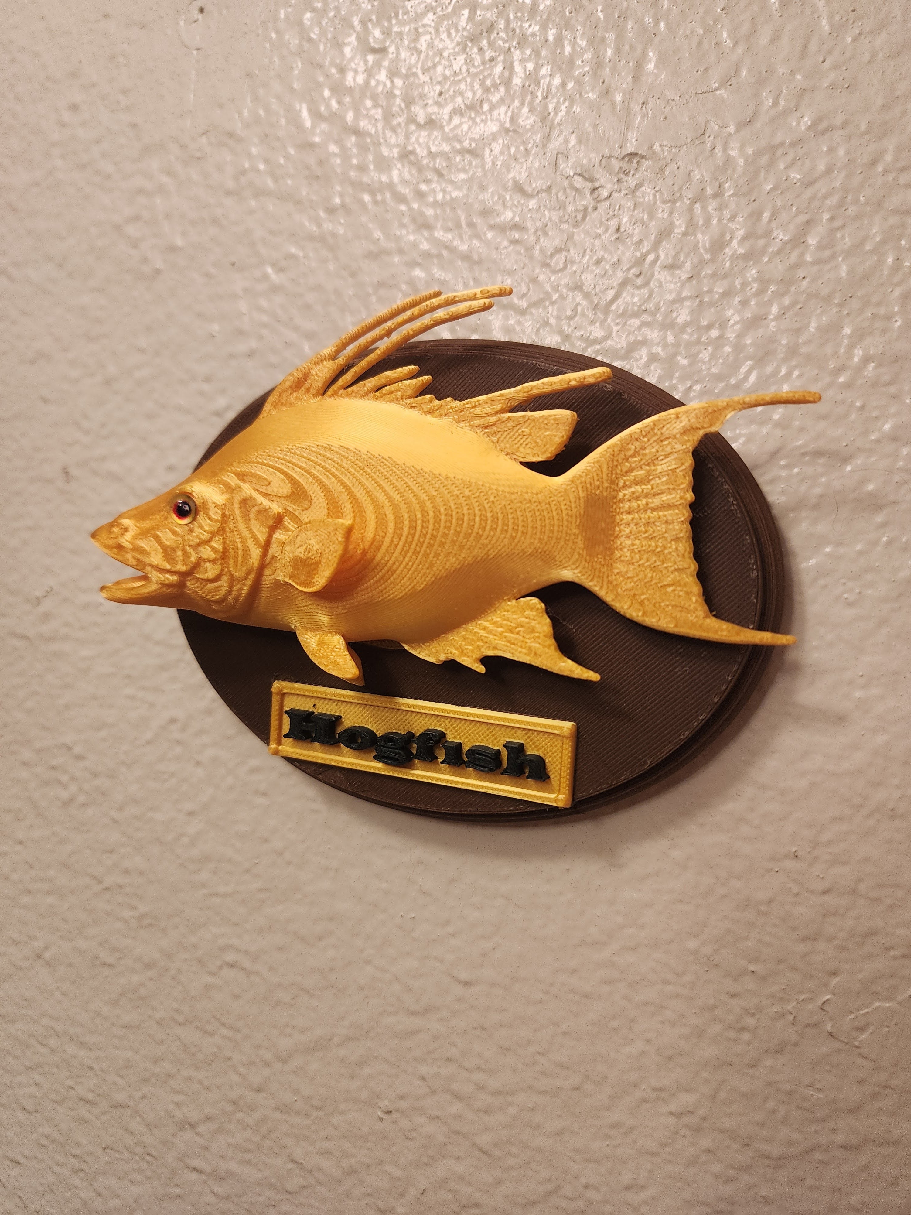 Fish Trophy