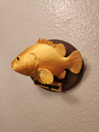 Fish Trophy