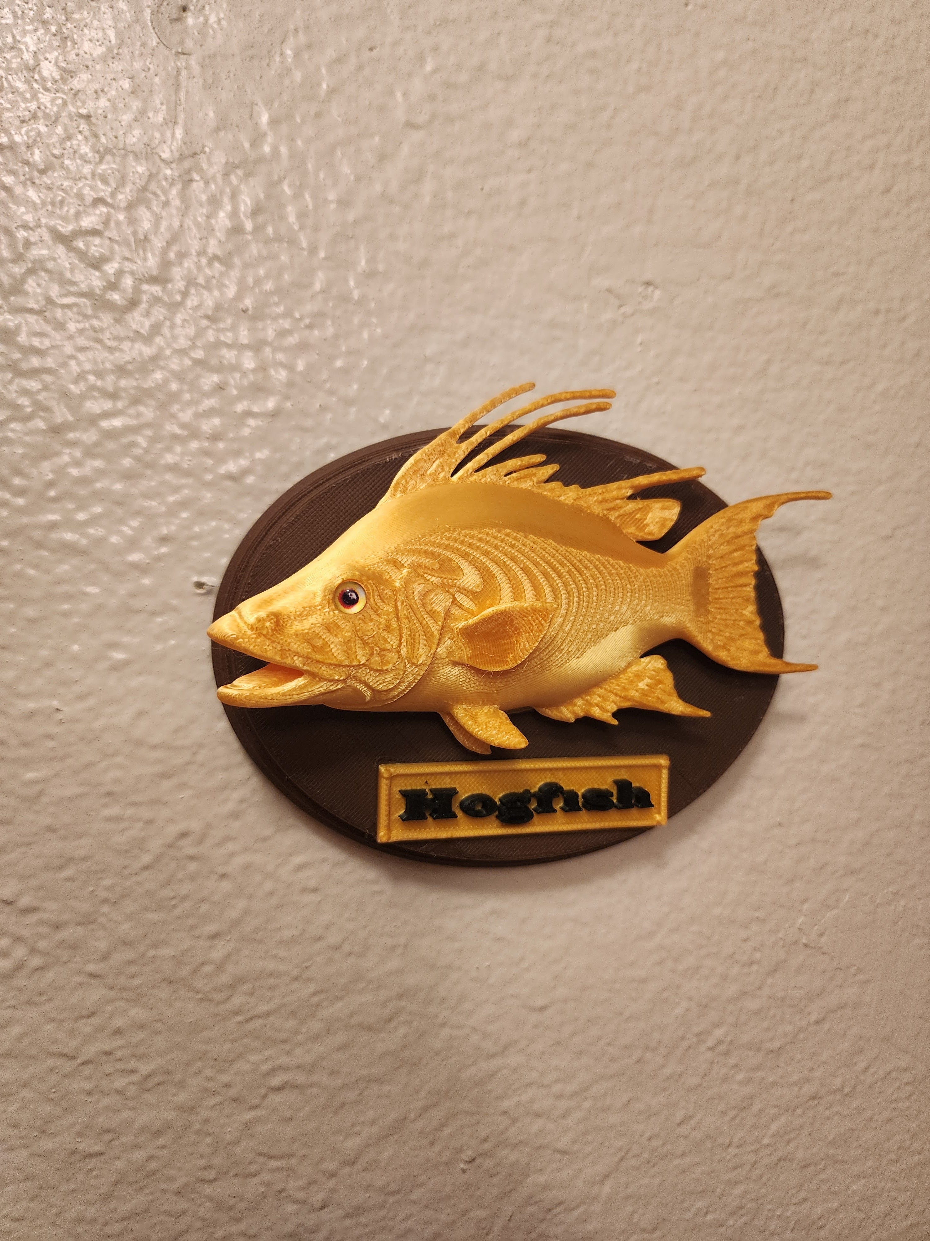 Fish Trophy