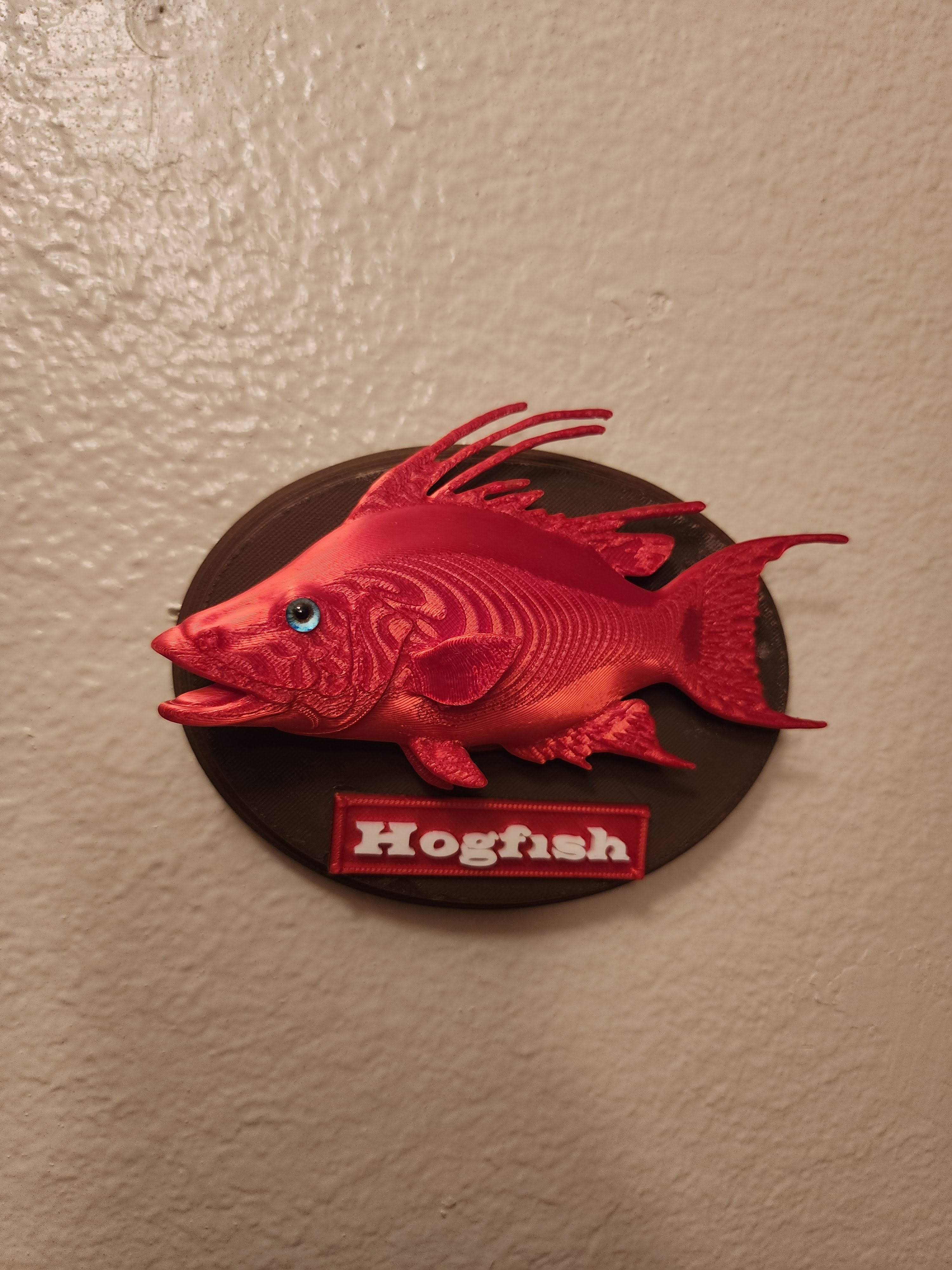 Fish Trophy
