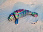 PetLinks Goliath — Big Bertha Manatee