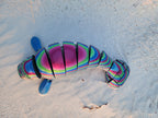 PetLinks Goliath — Big Bertha Manatee