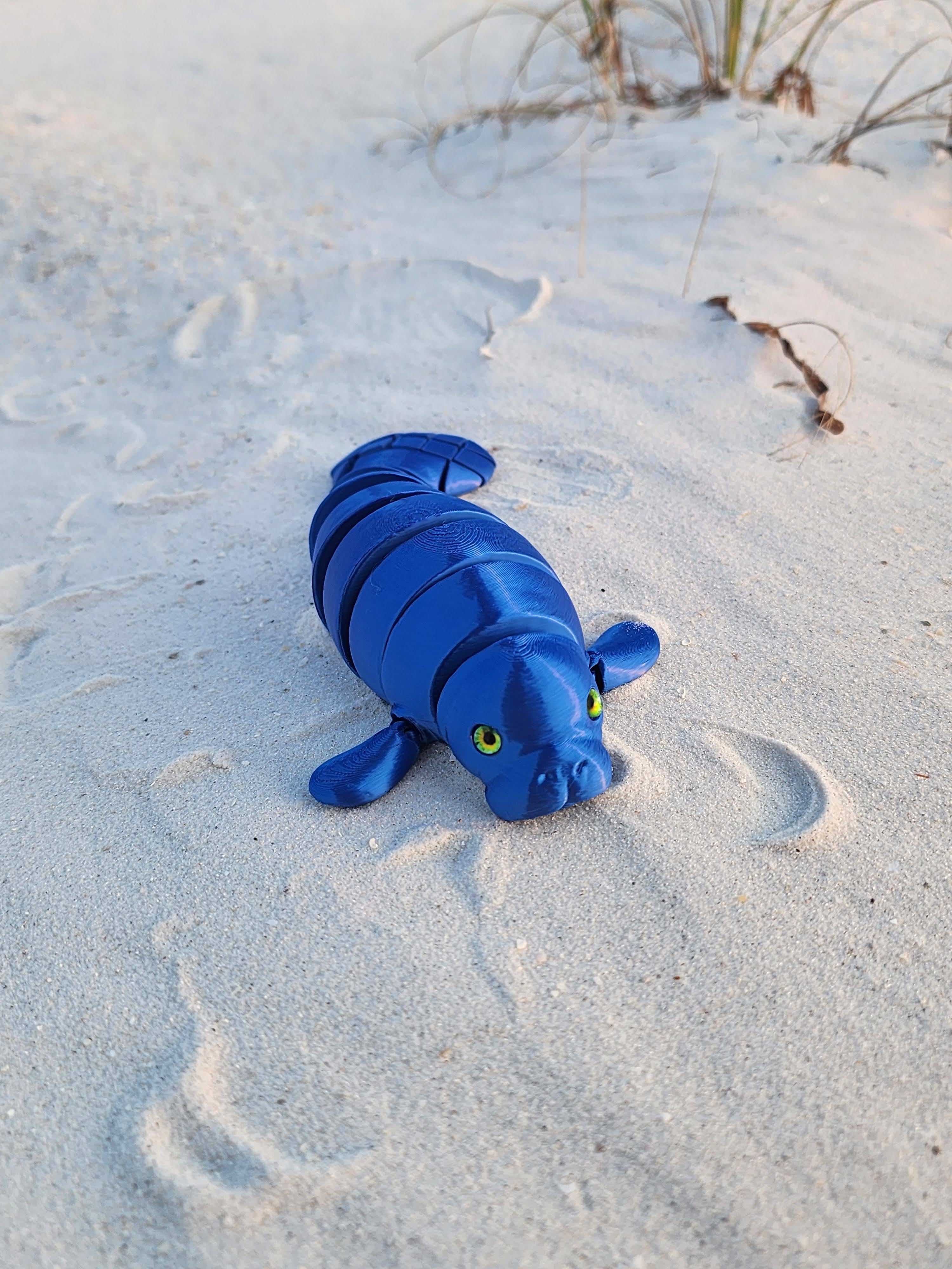 PetLinks Pal — Manatee