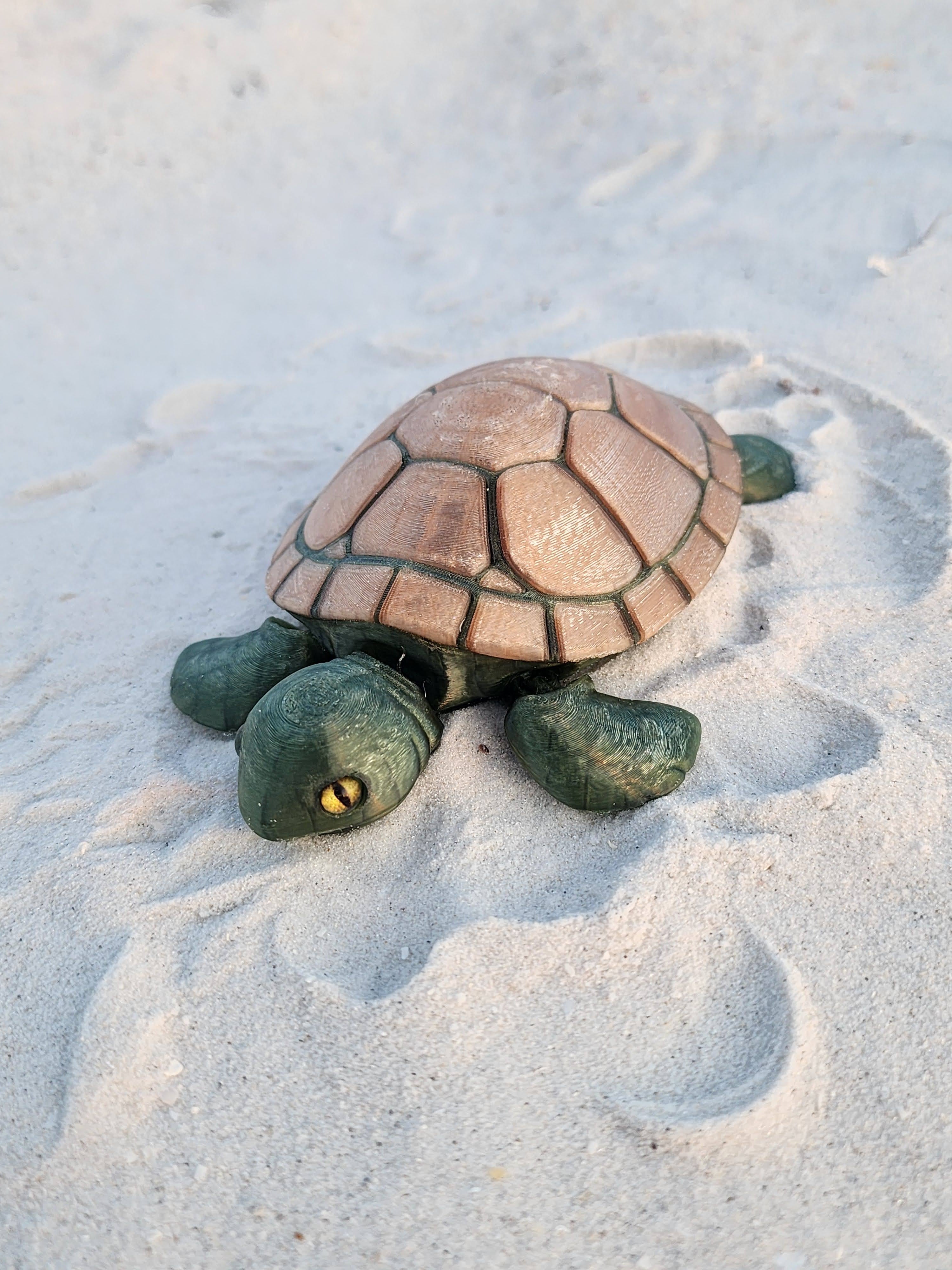 PetLinks Pal — Turtle