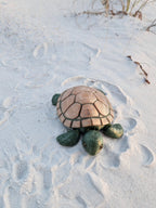 PetLinks Pal — Turtle