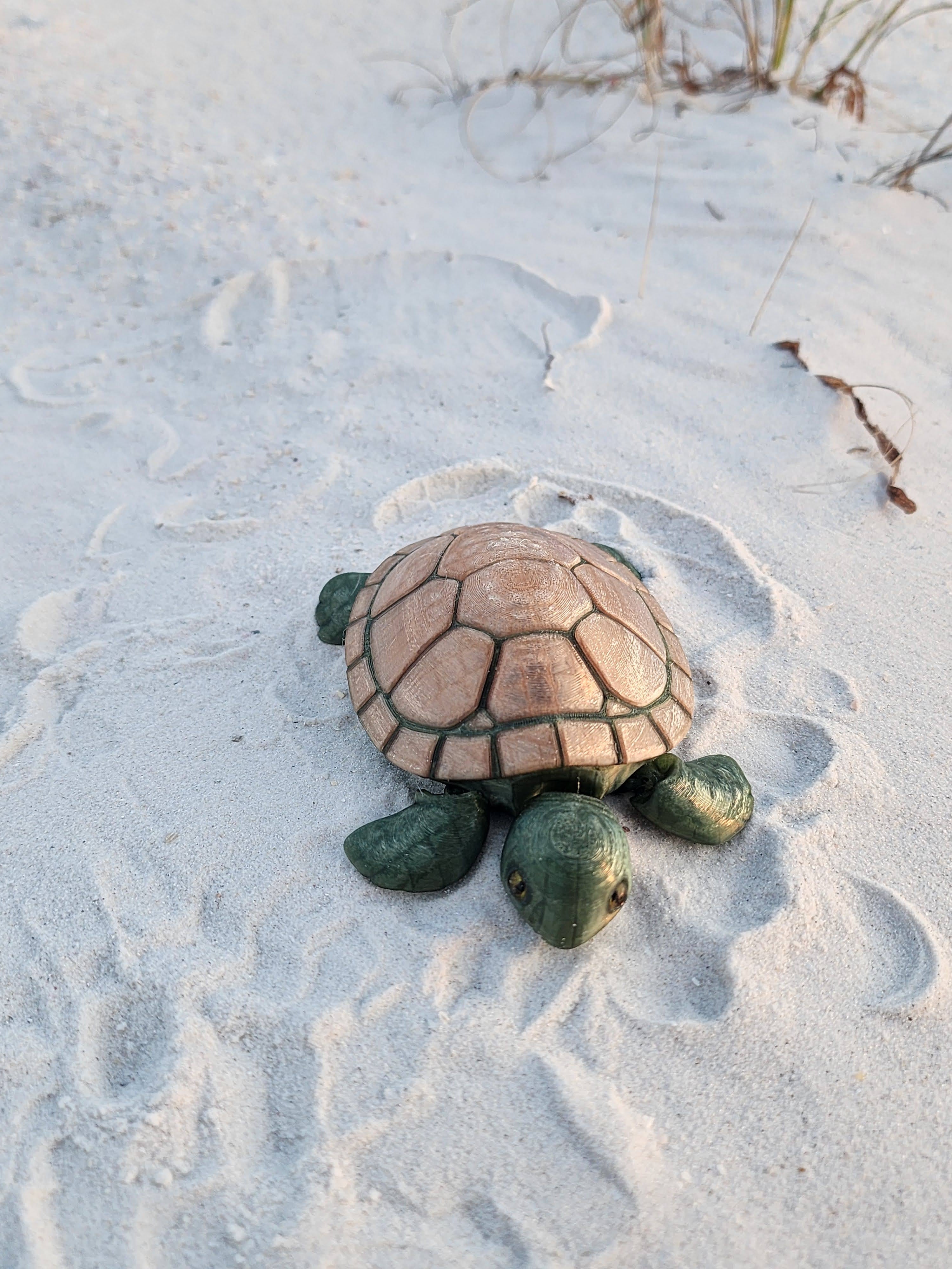 PetLinks Pal — Turtle