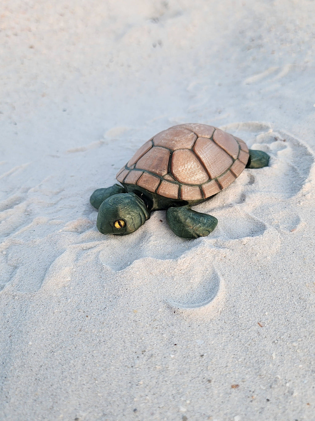 PetLinks Pal — Turtle