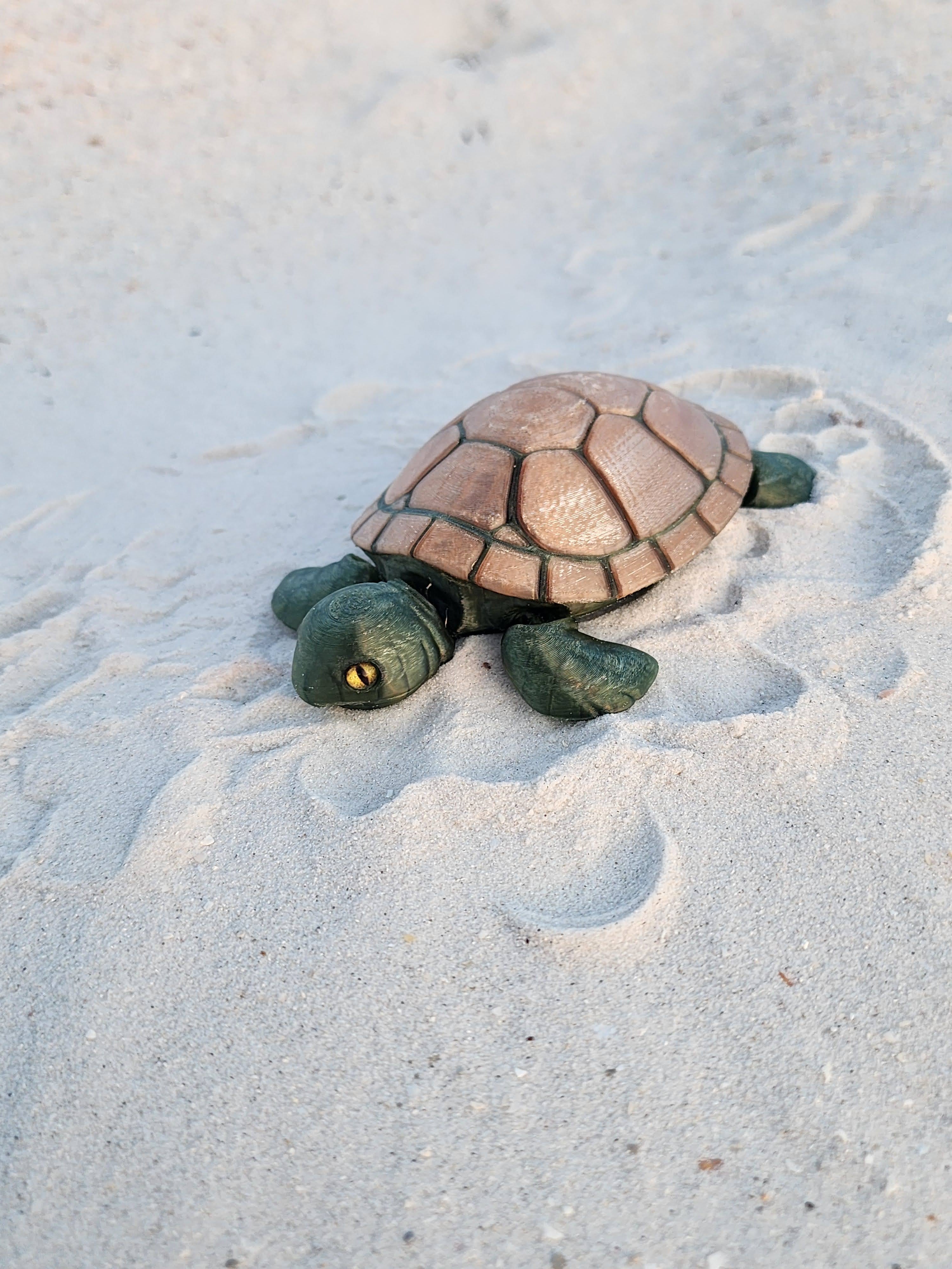 PetLinks Pal — Turtle