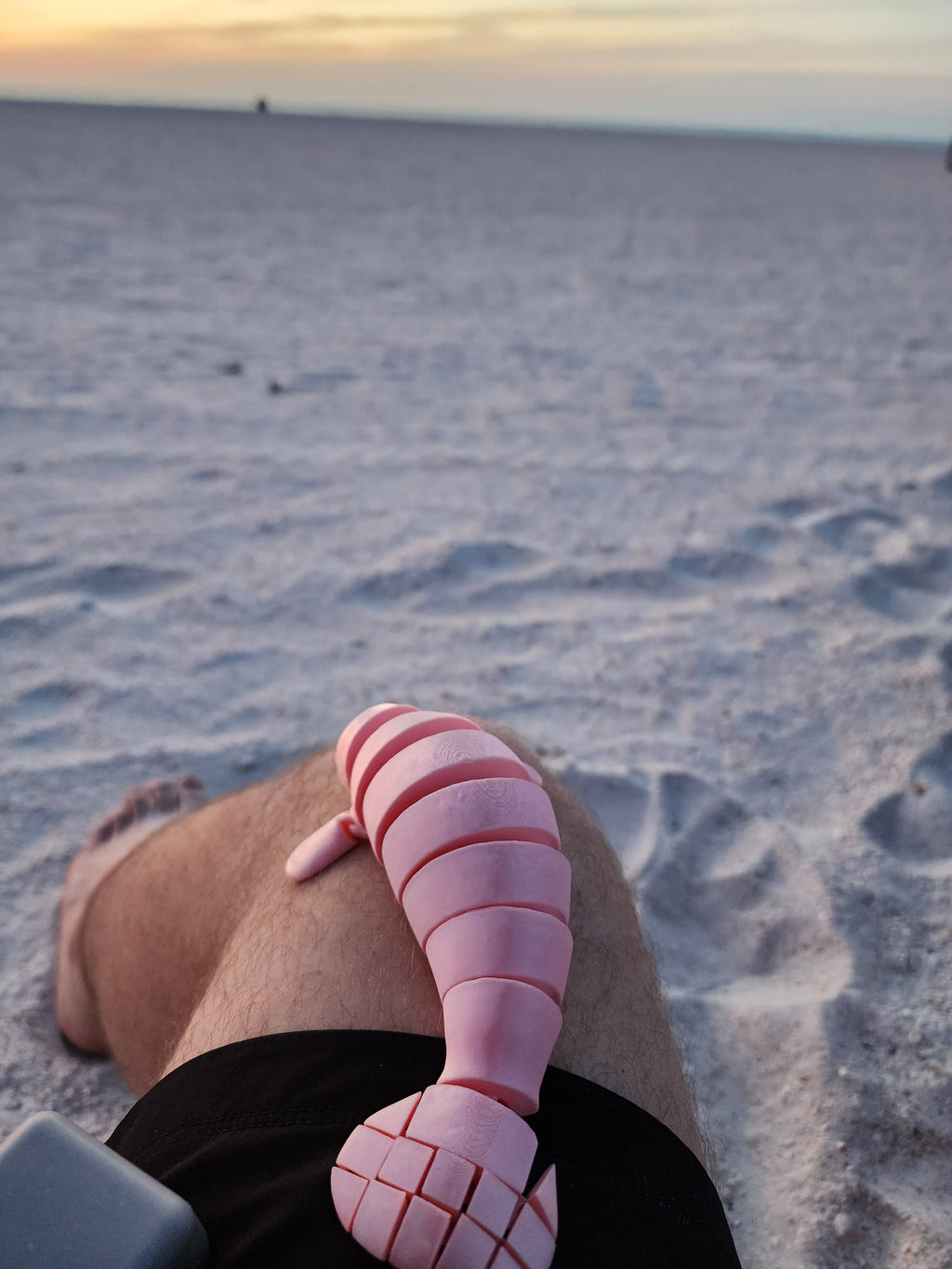 PetLinks Pal — Manatee