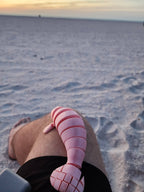 PetLinks Pal — Manatee