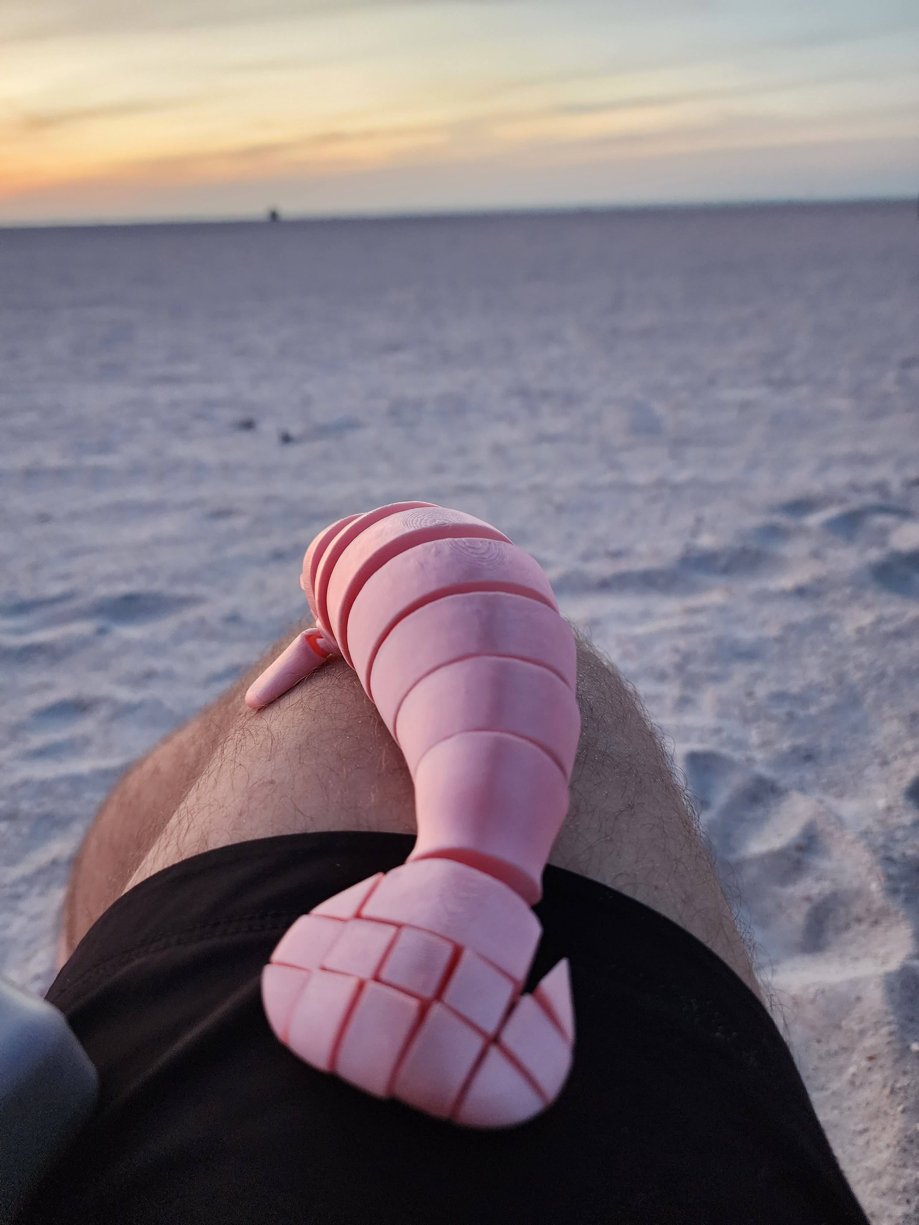 PetLinks Pal — Manatee