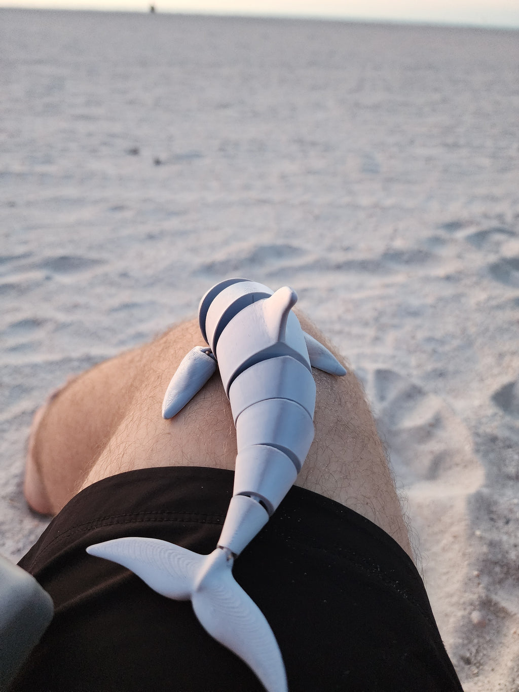 PetLinks Pal — Dolphin