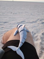 PetLinks Pal — Dolphin