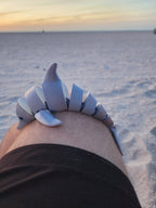 PetLinks Pal — Dolphin