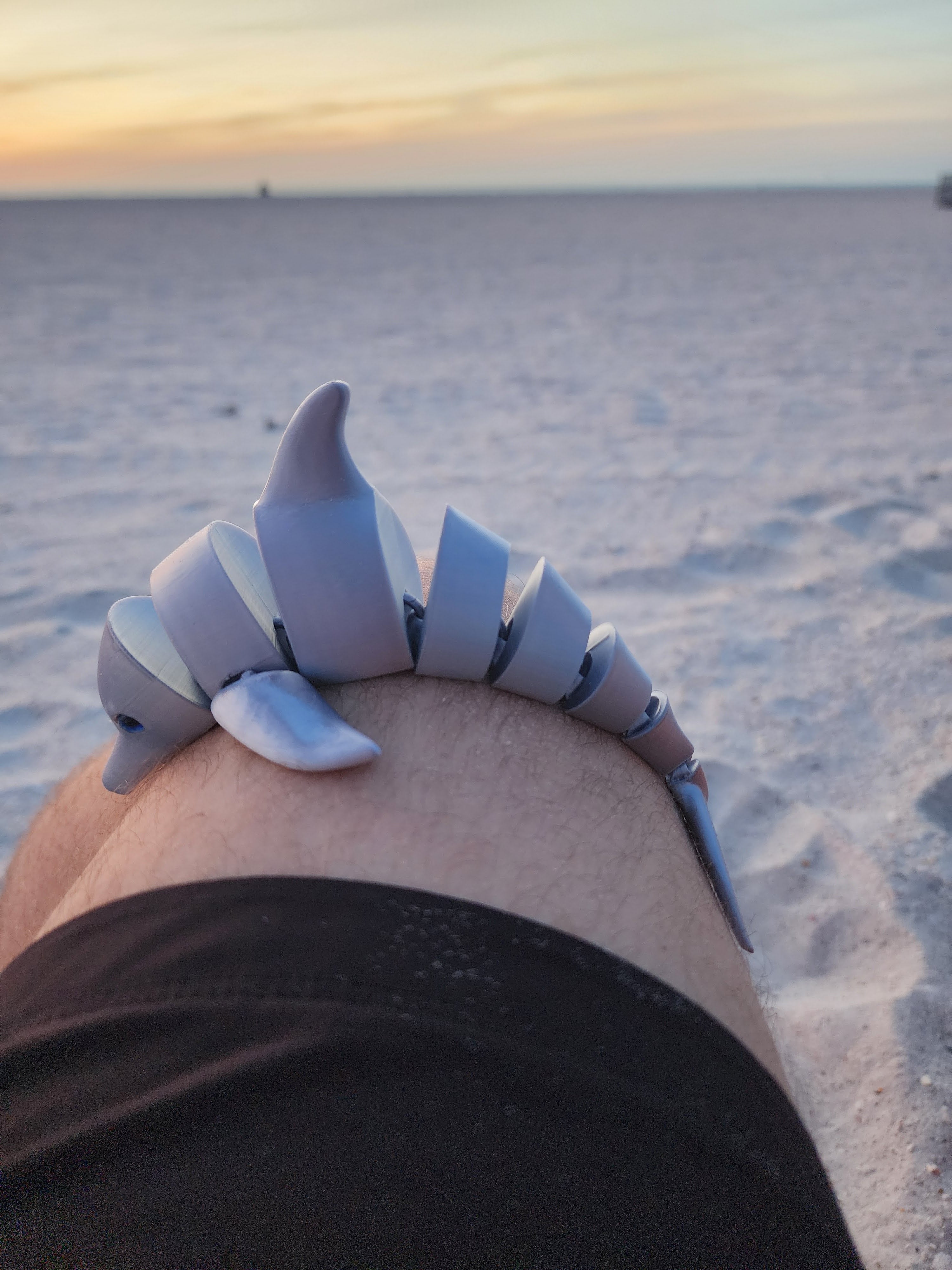 PetLinks Pal — Dolphin