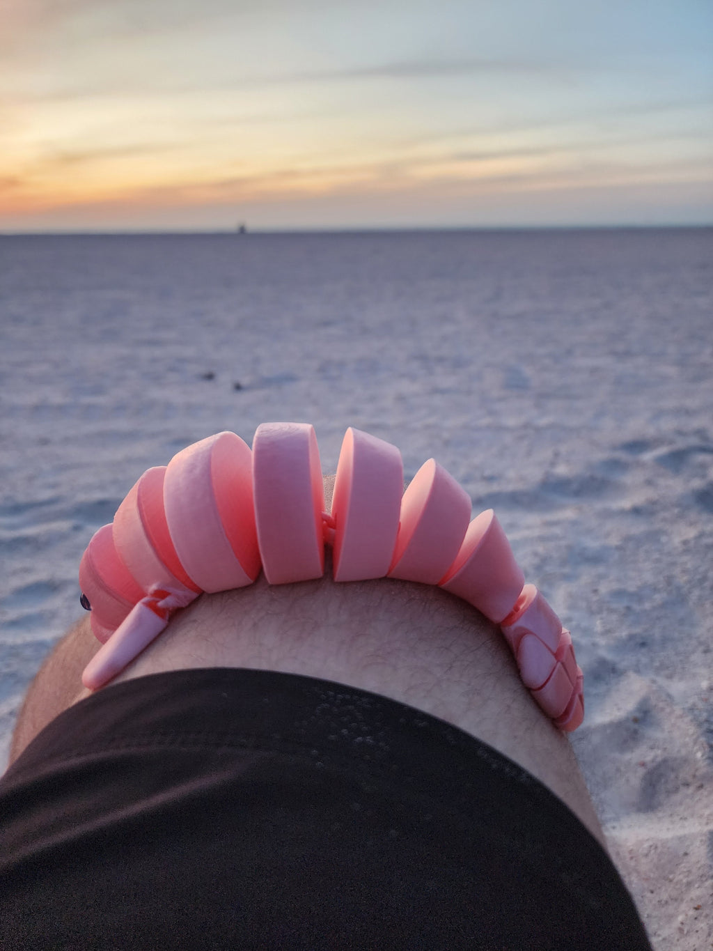 PetLinks Pal — Manatee