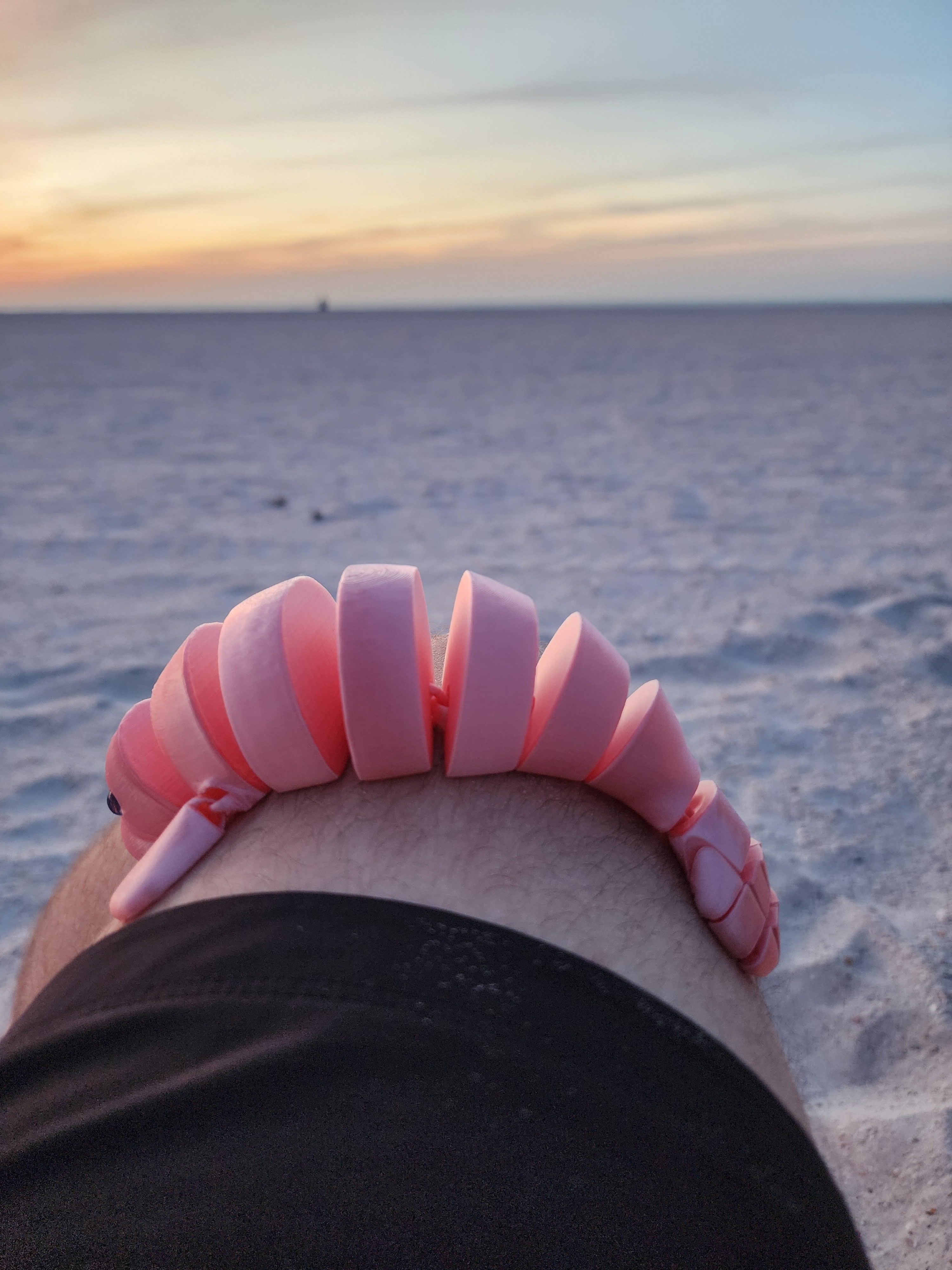 PetLinks Pal — Manatee