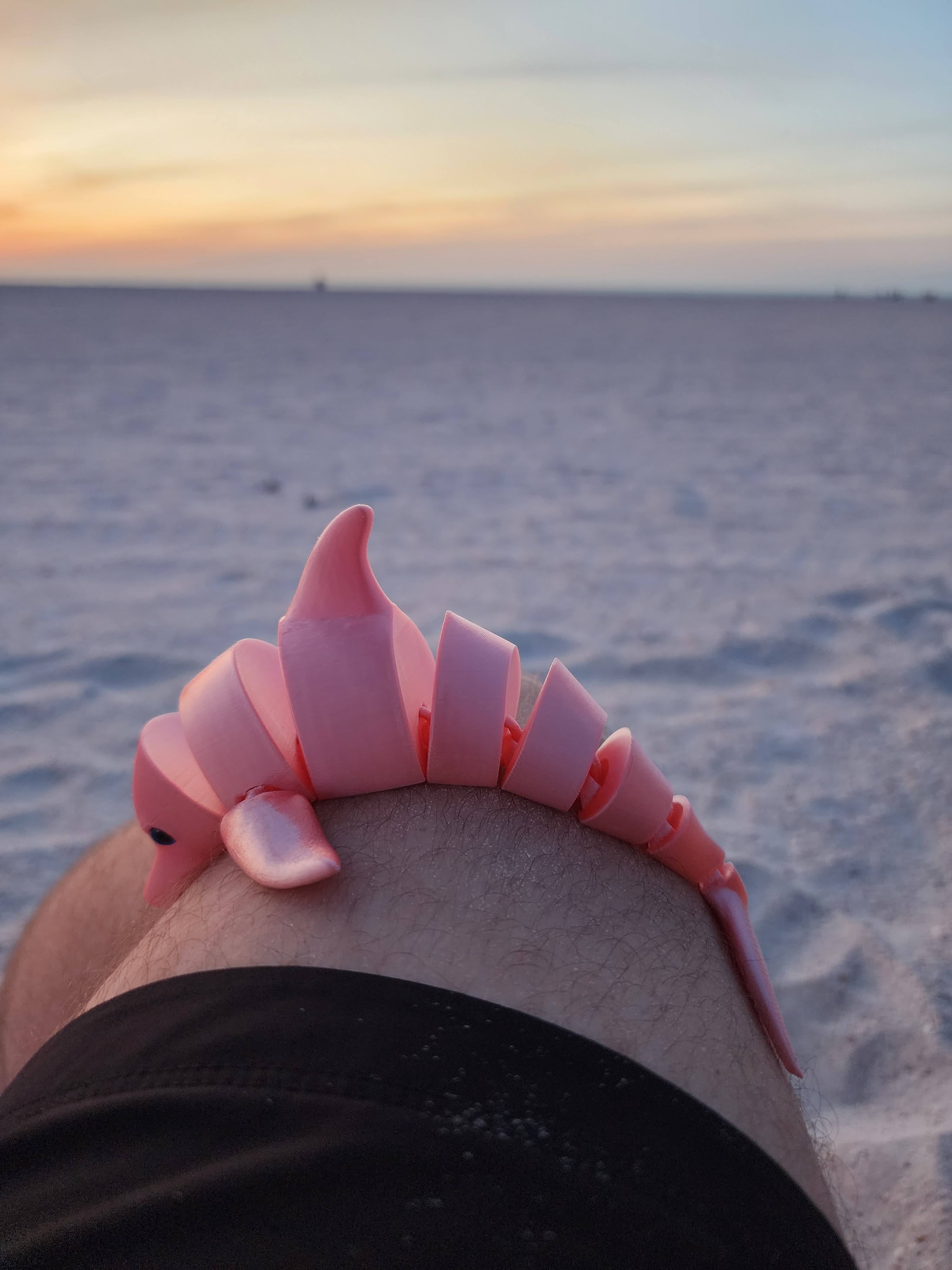 PetLinks Pal — Dolphin