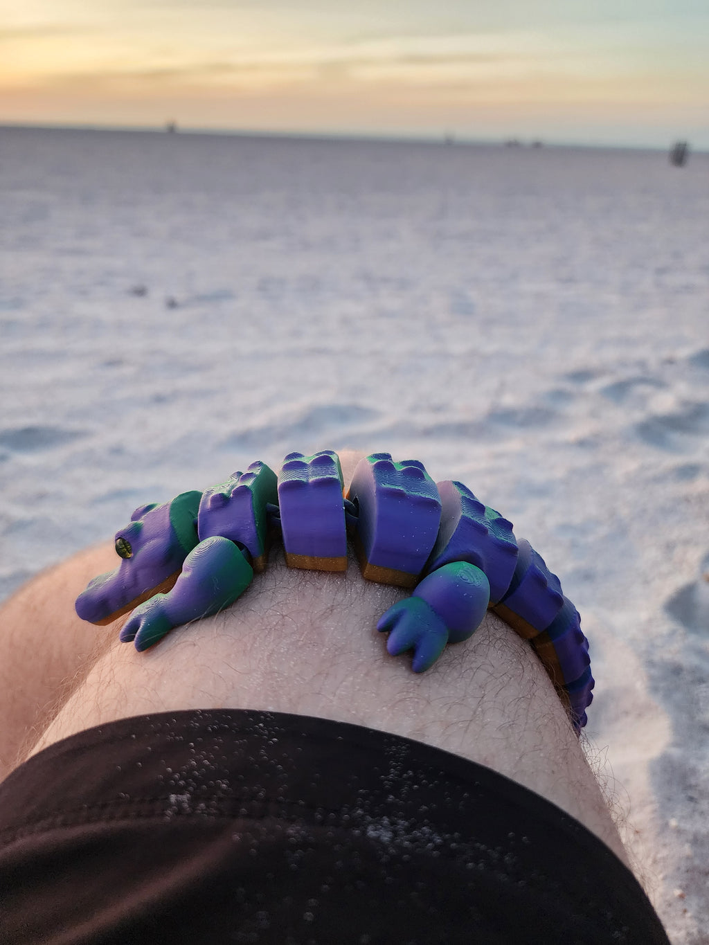 PetLinks Pal — Alligator