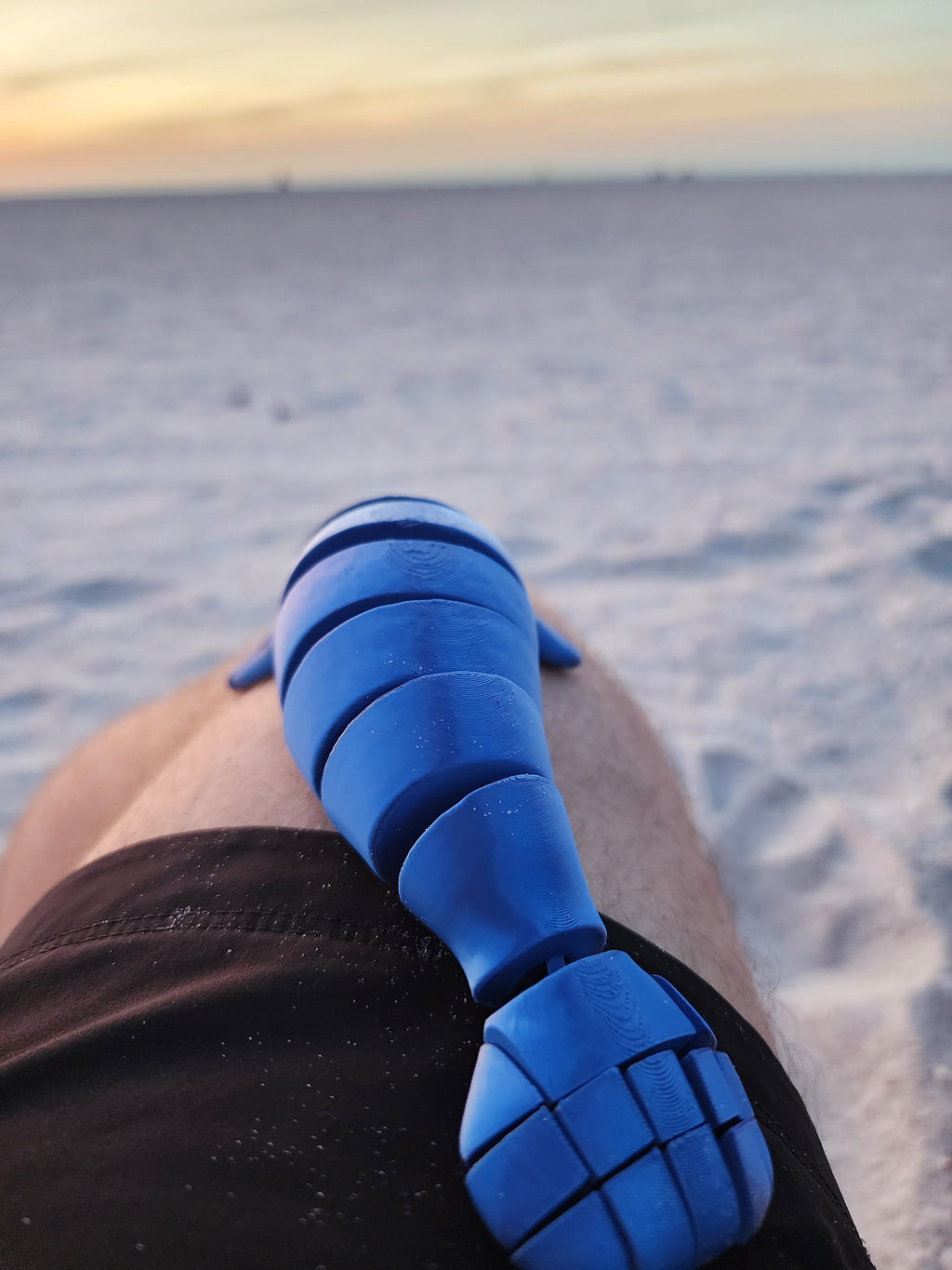 PetLinks Pal — Manatee