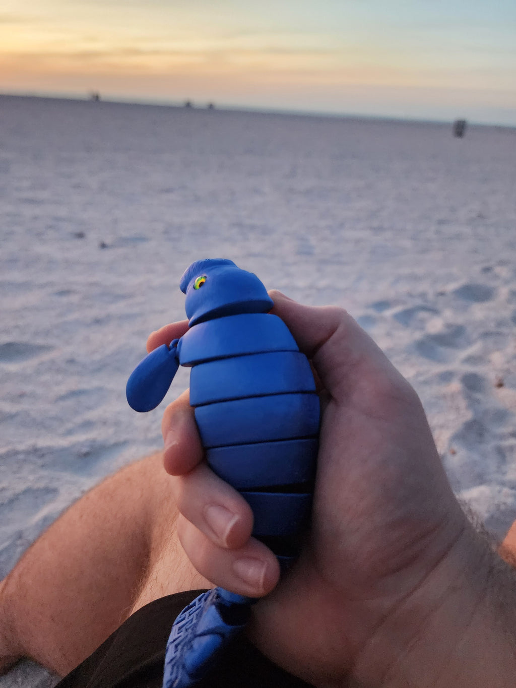 PetLinks Pal — Manatee