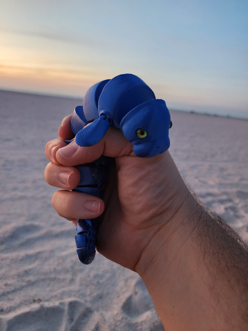 PetLinks Pal — Manatee